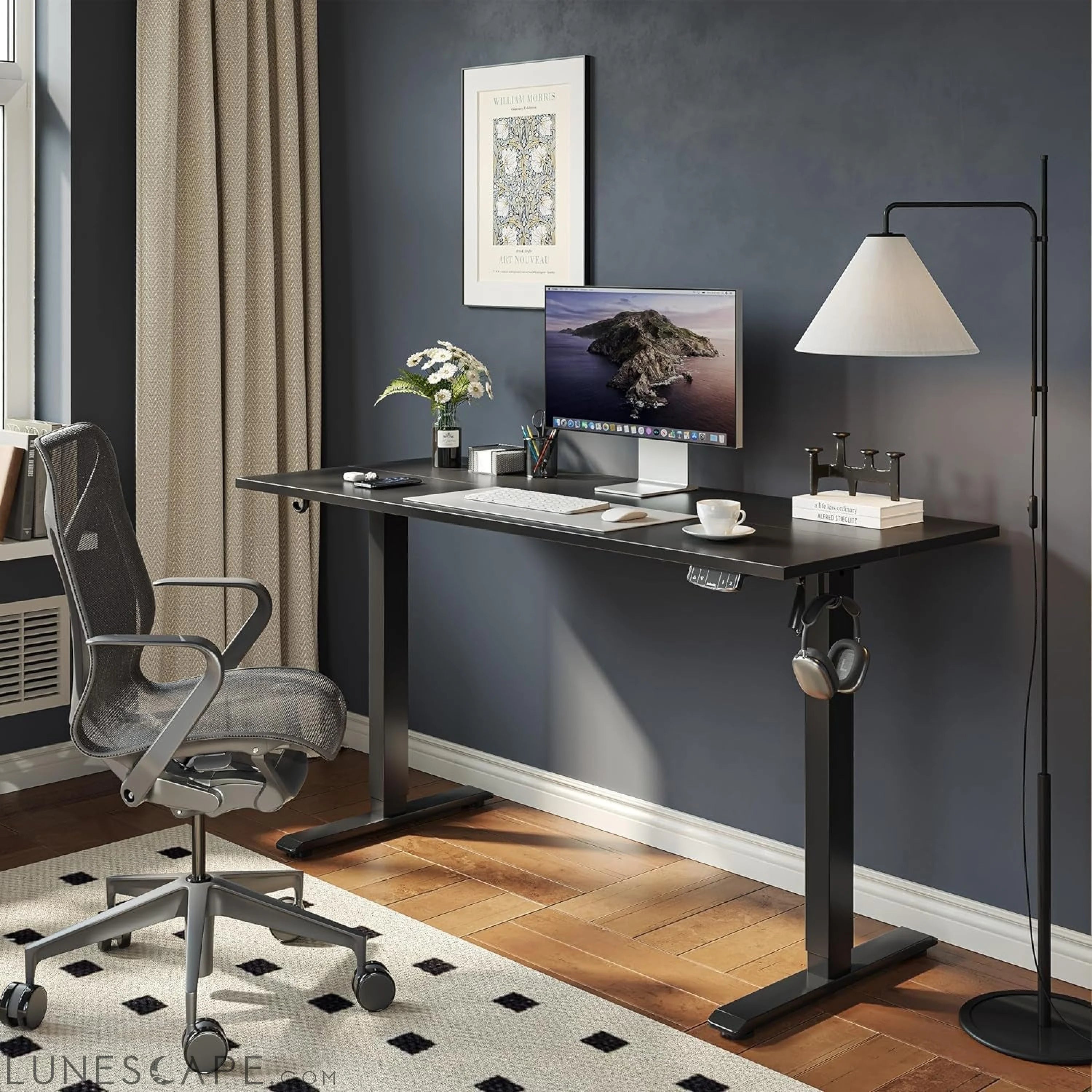 Electric Standing Desk, 48 X 24 Inches Height Adjustable Desk, Sit LUNESCAPE