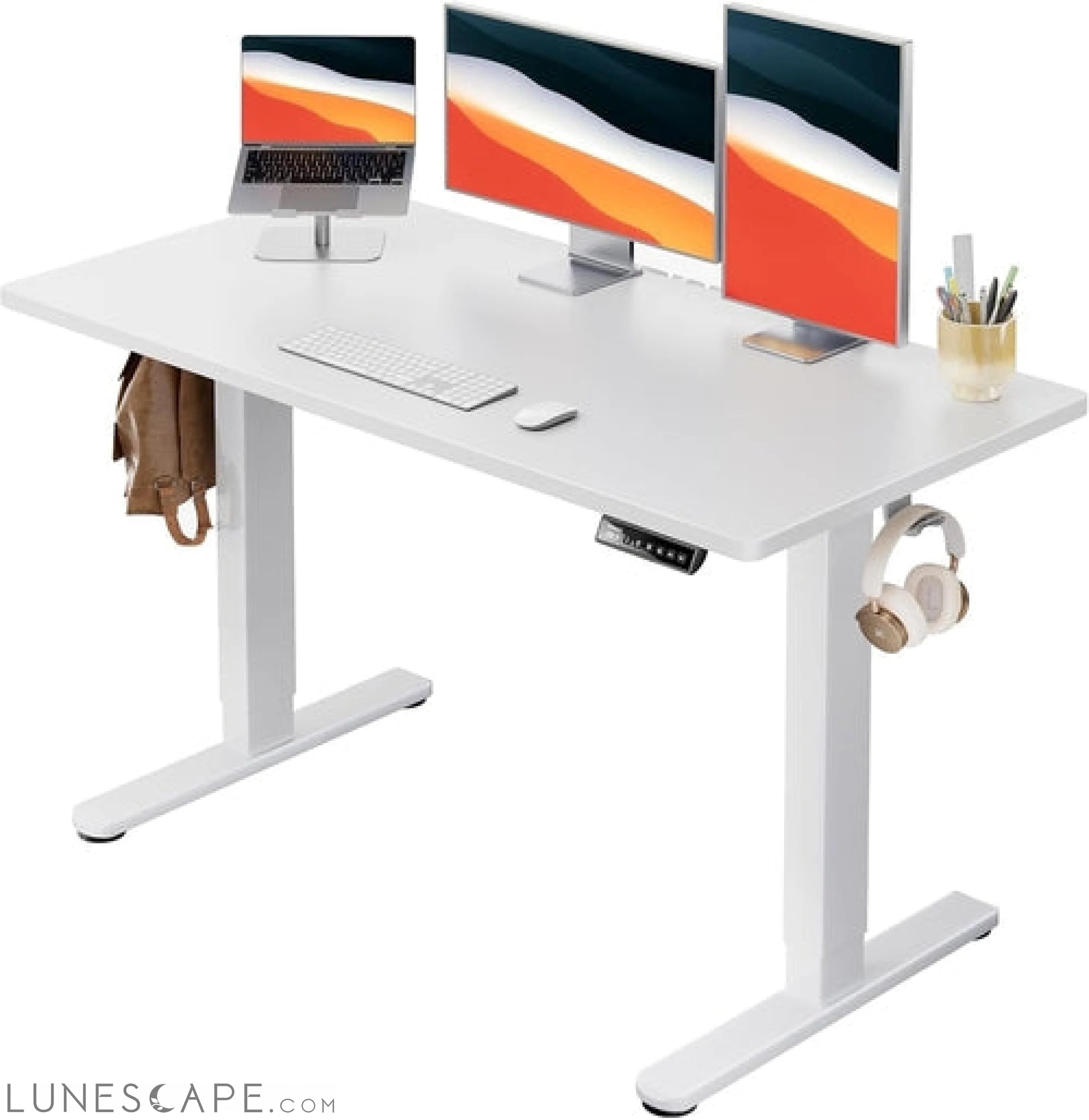 Electric Standing Desk, 48" X 24" Whole Piece Desktop, Adjustable LUNESCAPE