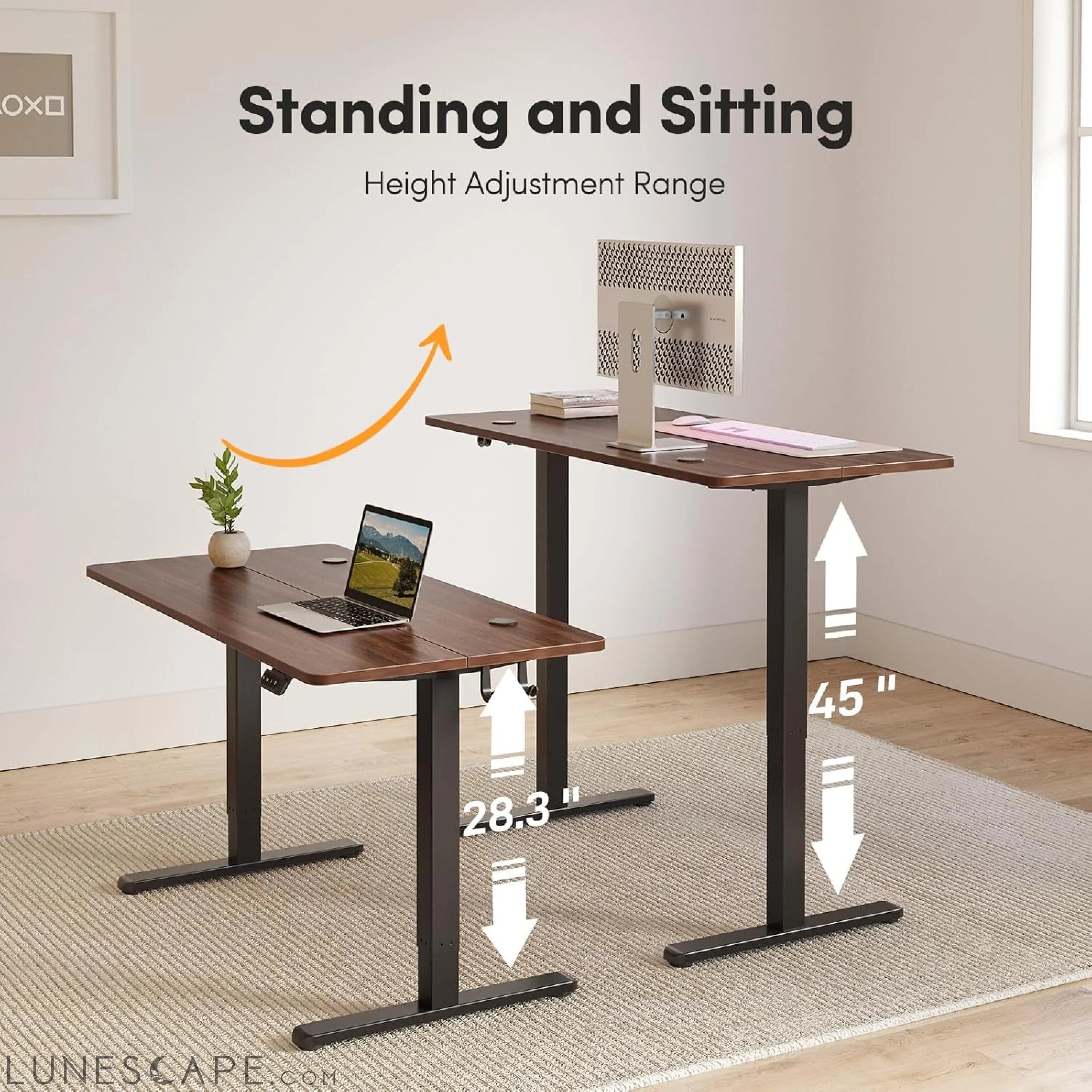 Electric Standing Desk Adjustable Height, 48 X 24 Inch Sit and Stand LUNESCAPE