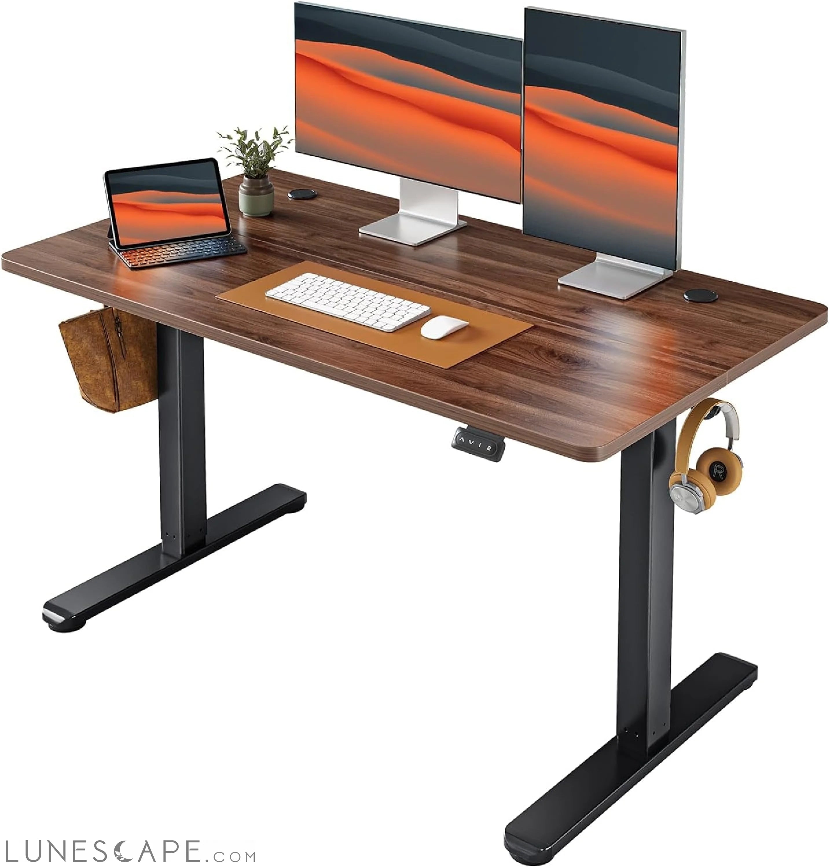Electric Standing Desk Adjustable Height, 48 X 24 Inch Sit and Stand LUNESCAPE