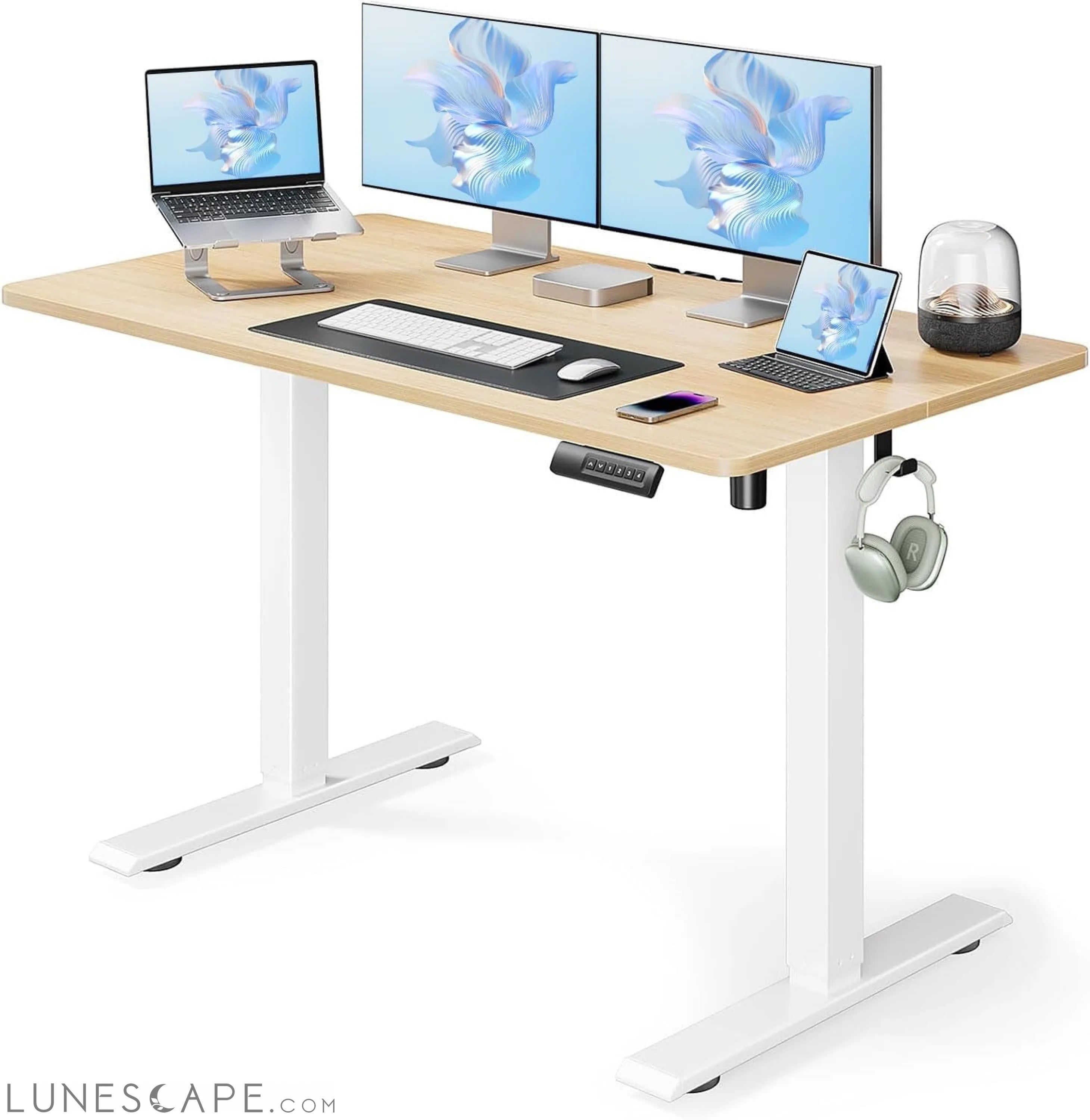 Electric Standing Desk, Adjustable Height Stand up Desk, 48 X 24 LUNESCAPE