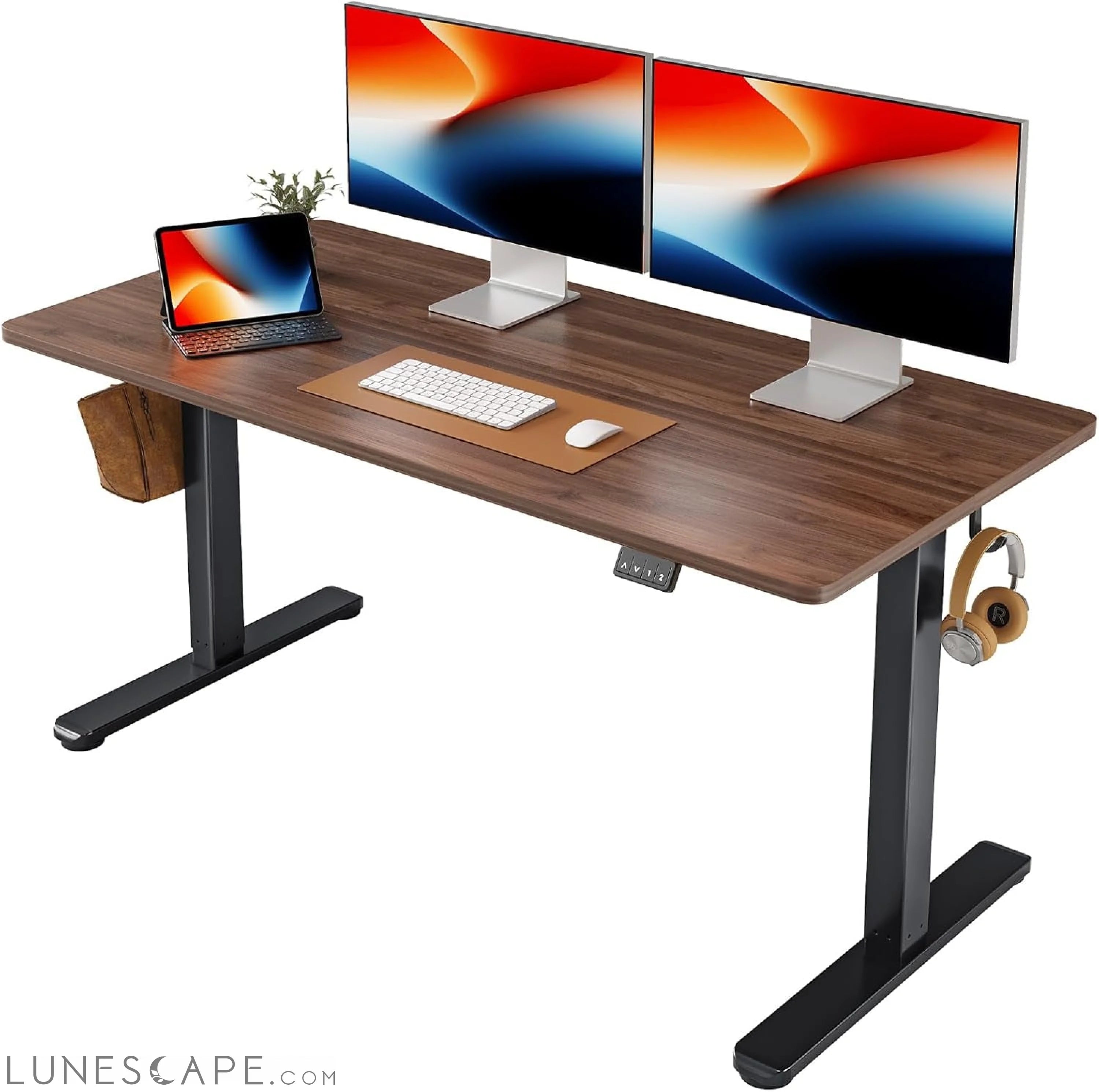 Electric Standing Desk, Height Adjustable Stand up Desk, 55 X 24 LUNESCAPE