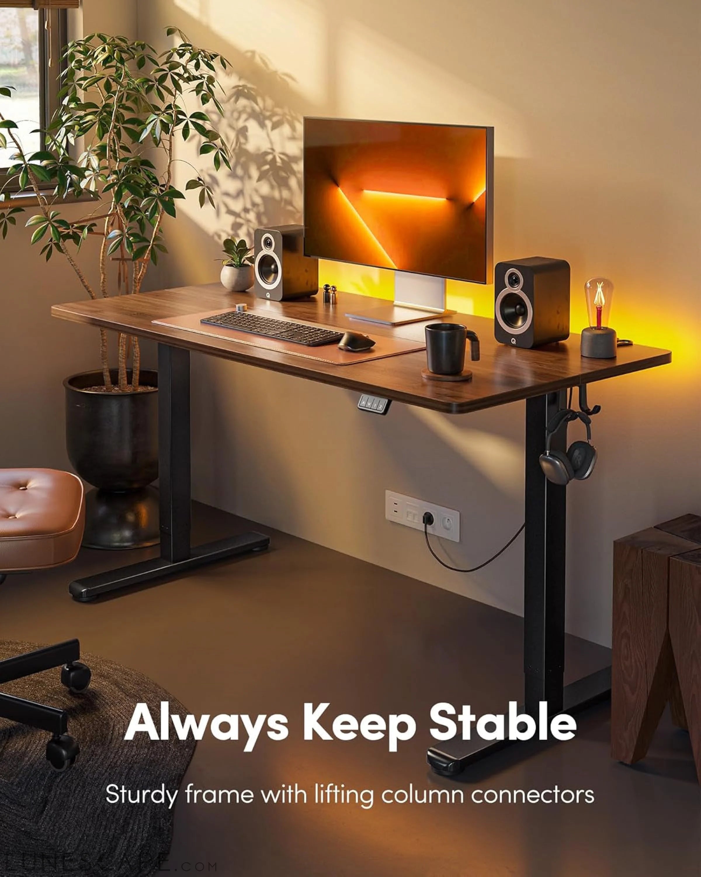 Electric Standing Desk, Height Adjustable Stand up Desk, 55 X 24 LUNESCAPE