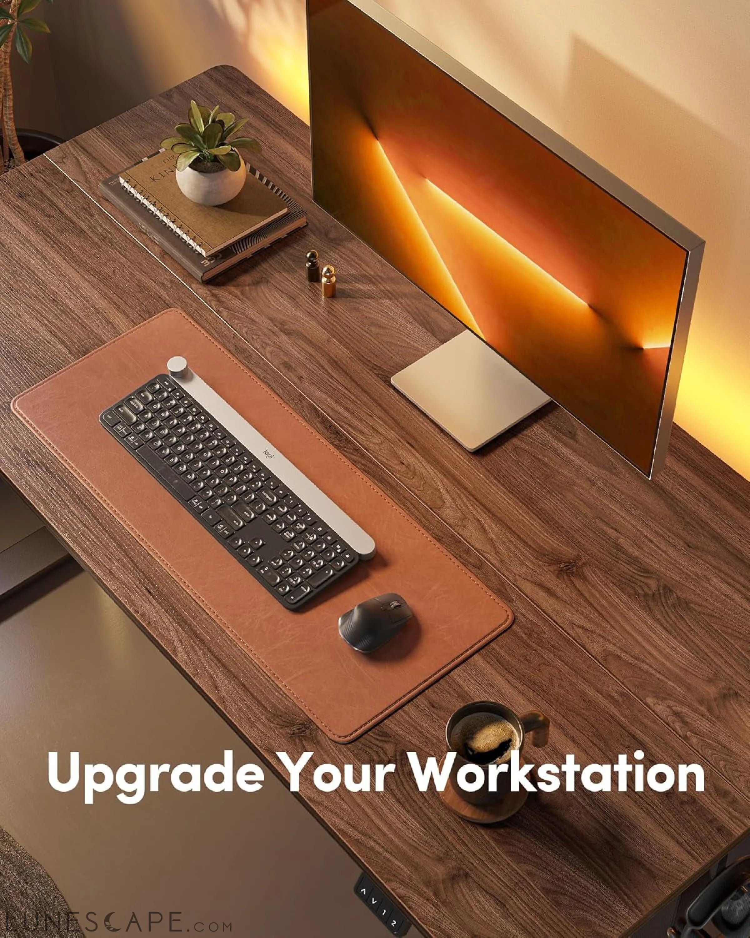 Electric Standing Desk, Height Adjustable Stand up Desk, 55 X 24 LUNESCAPE