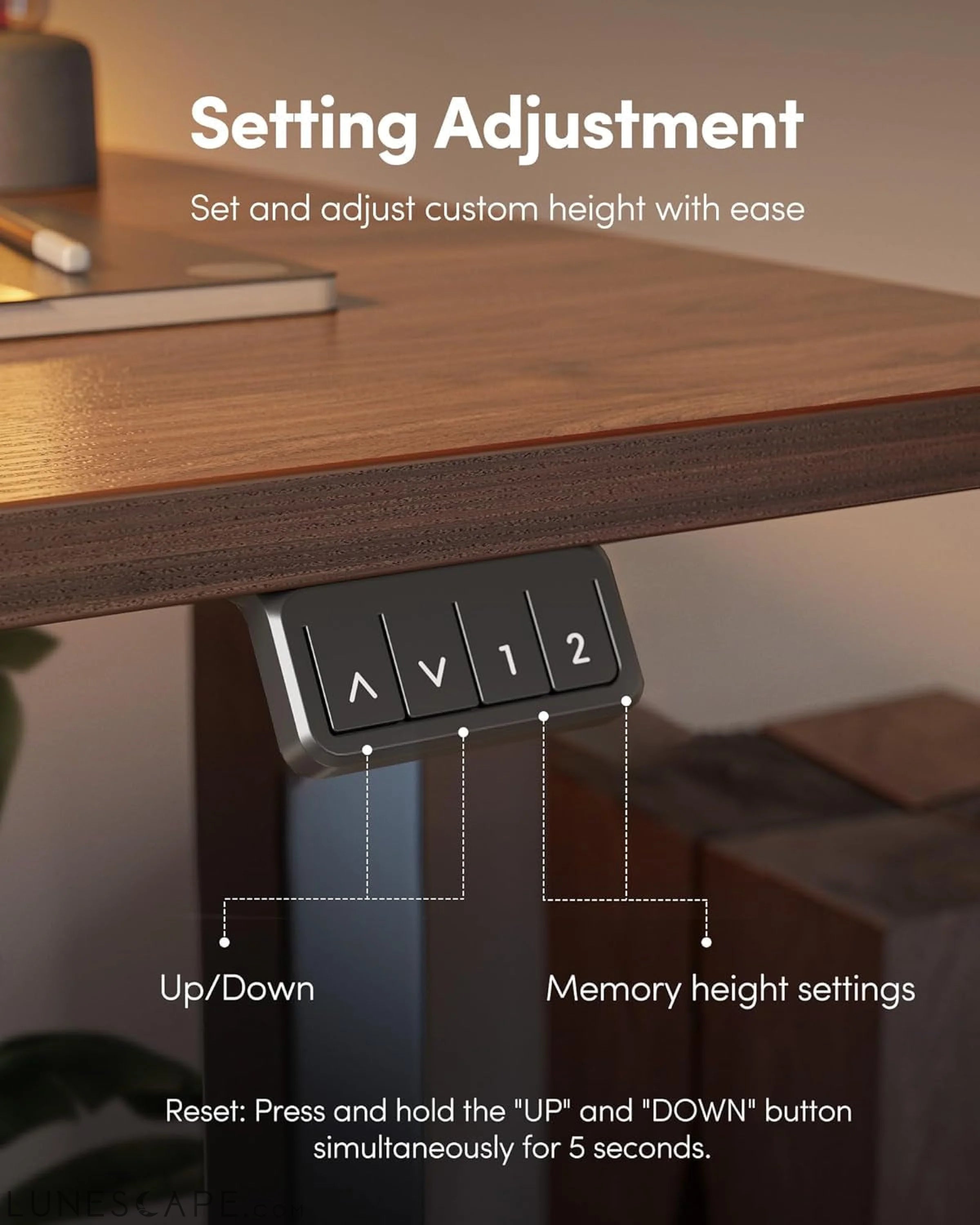 Electric Standing Desk, Height Adjustable Stand up Desk, 55 X 24 LUNESCAPE