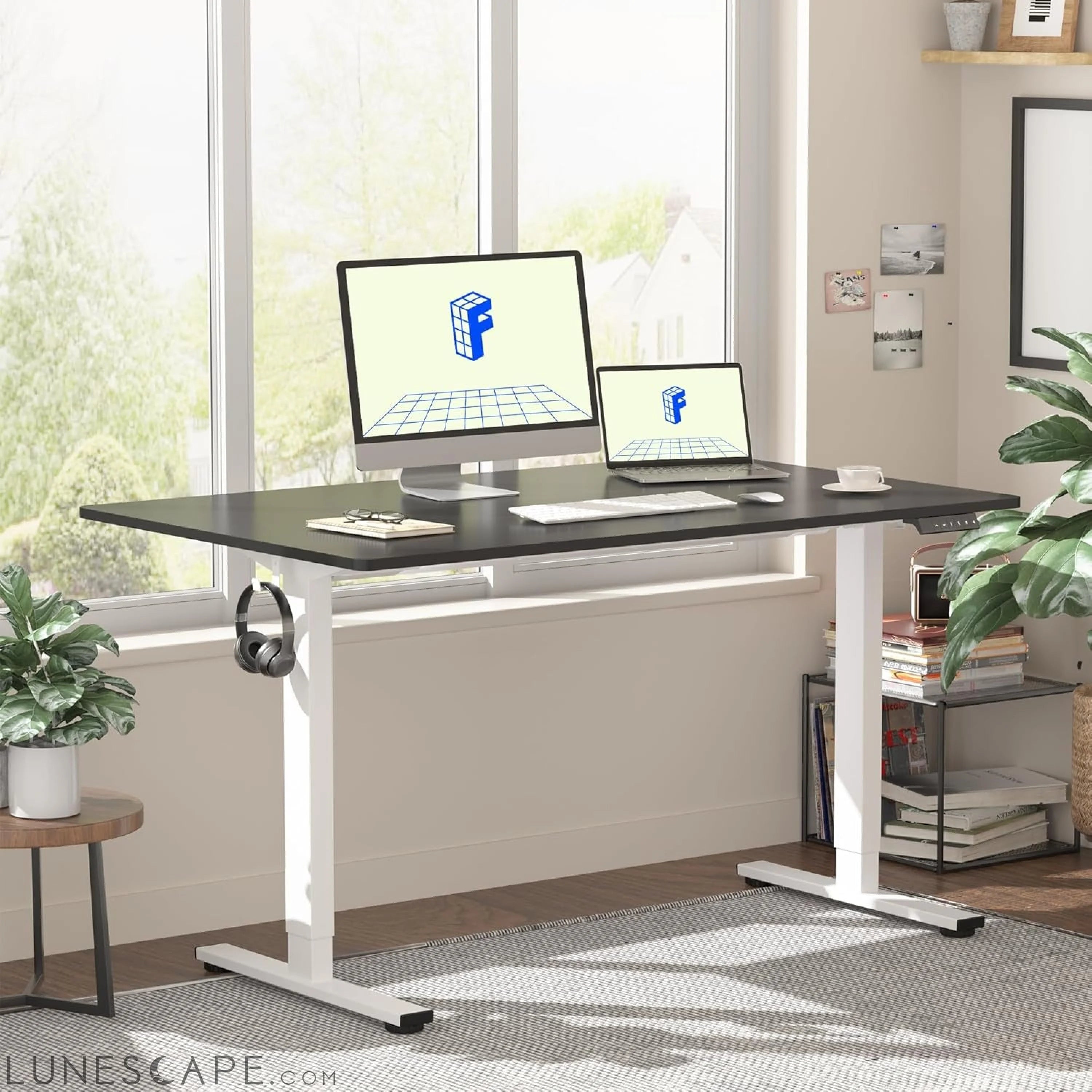 EN1 One Piece Standing Desk, 48 X 24 Inch Desktop Electric Adjustable LUNESCAPE