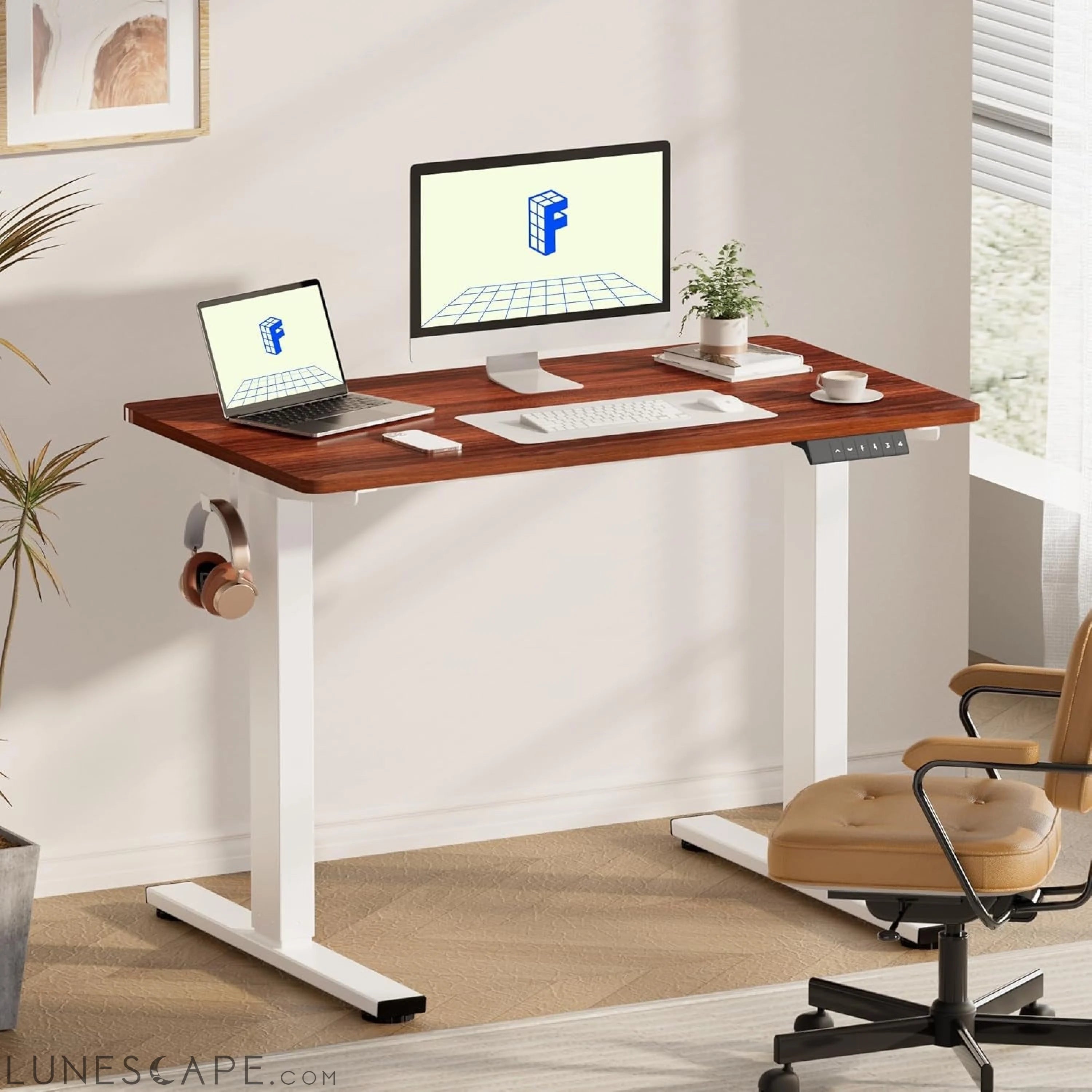 EN1 One Piece Standing Desk 48 X 24 Inch Desktop Electric Adjustable LUNESCAPE