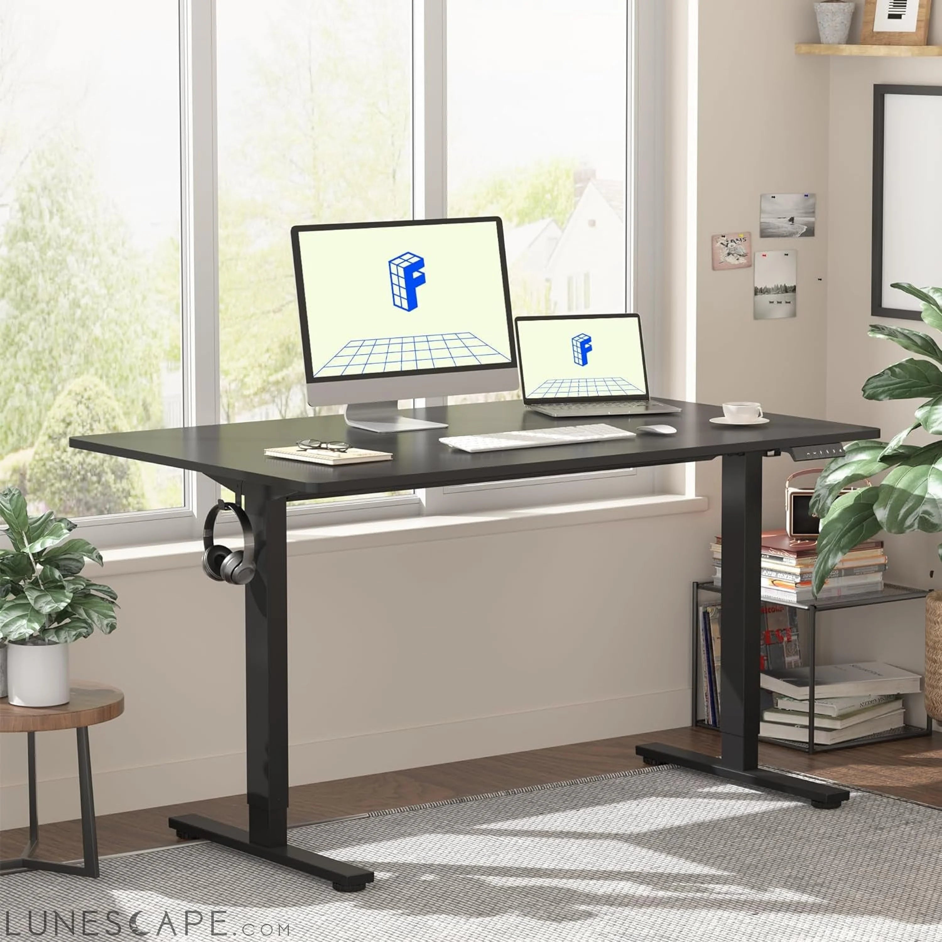 EN1 One Piece Standing Desk 48 X 24 Inches Electric Stand up Desk LUNESCAPE
