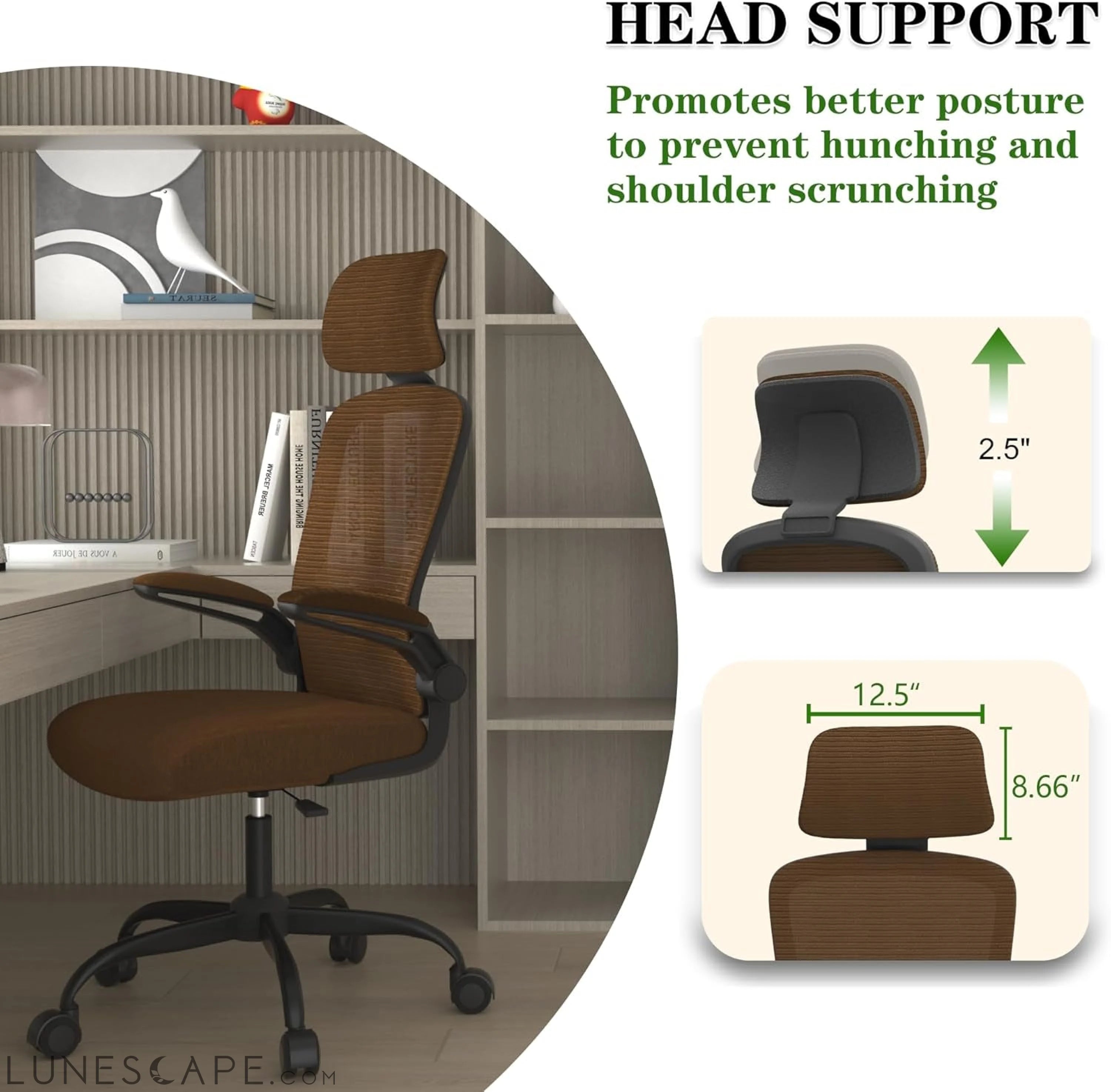 Ergonomic Mesh Office Chair, High Back Computer Desk Chair with LUNESCAPE