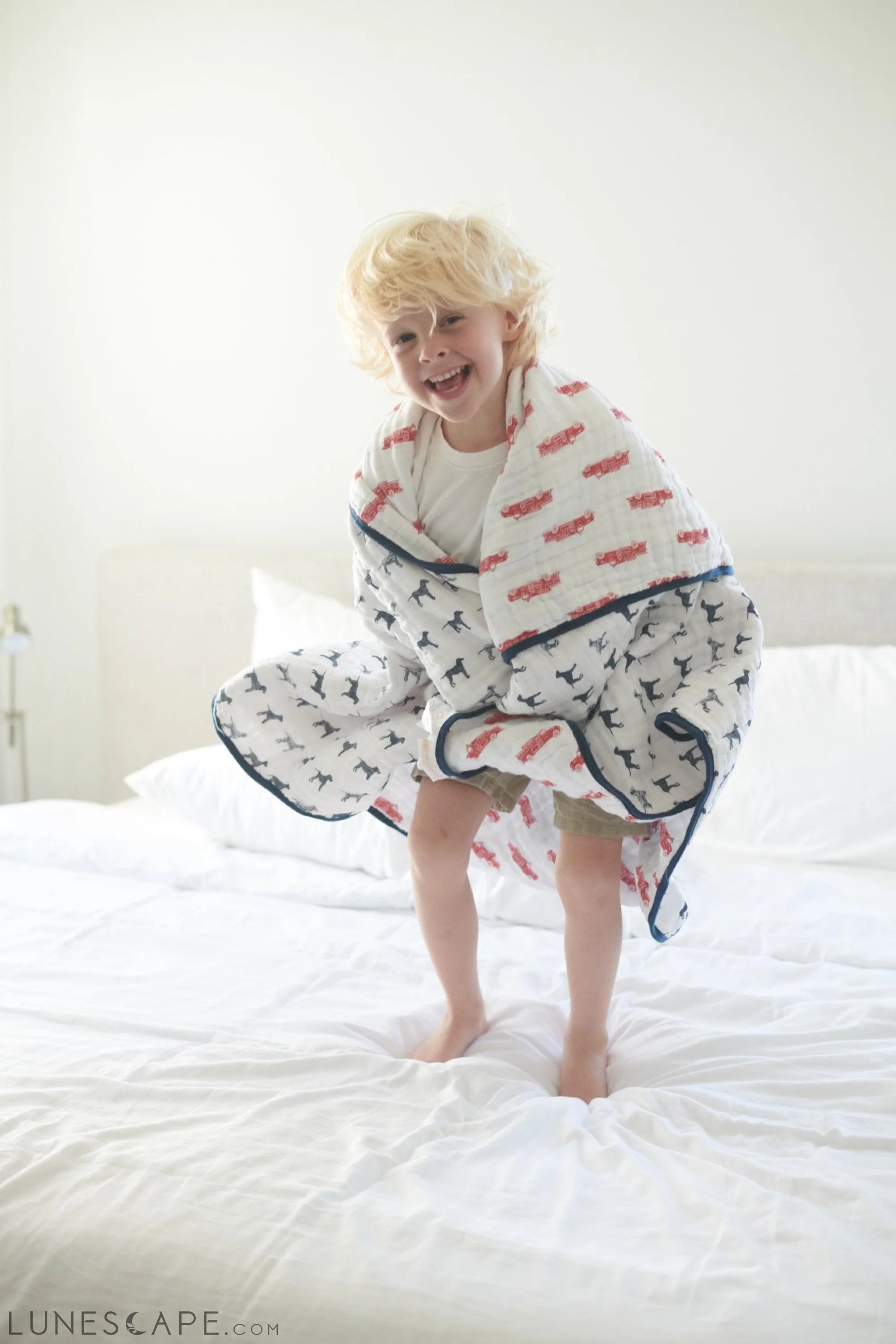 Fire Truck and Dalmatian Cotton Muslin Newcastle Blanket LUNESCAPE