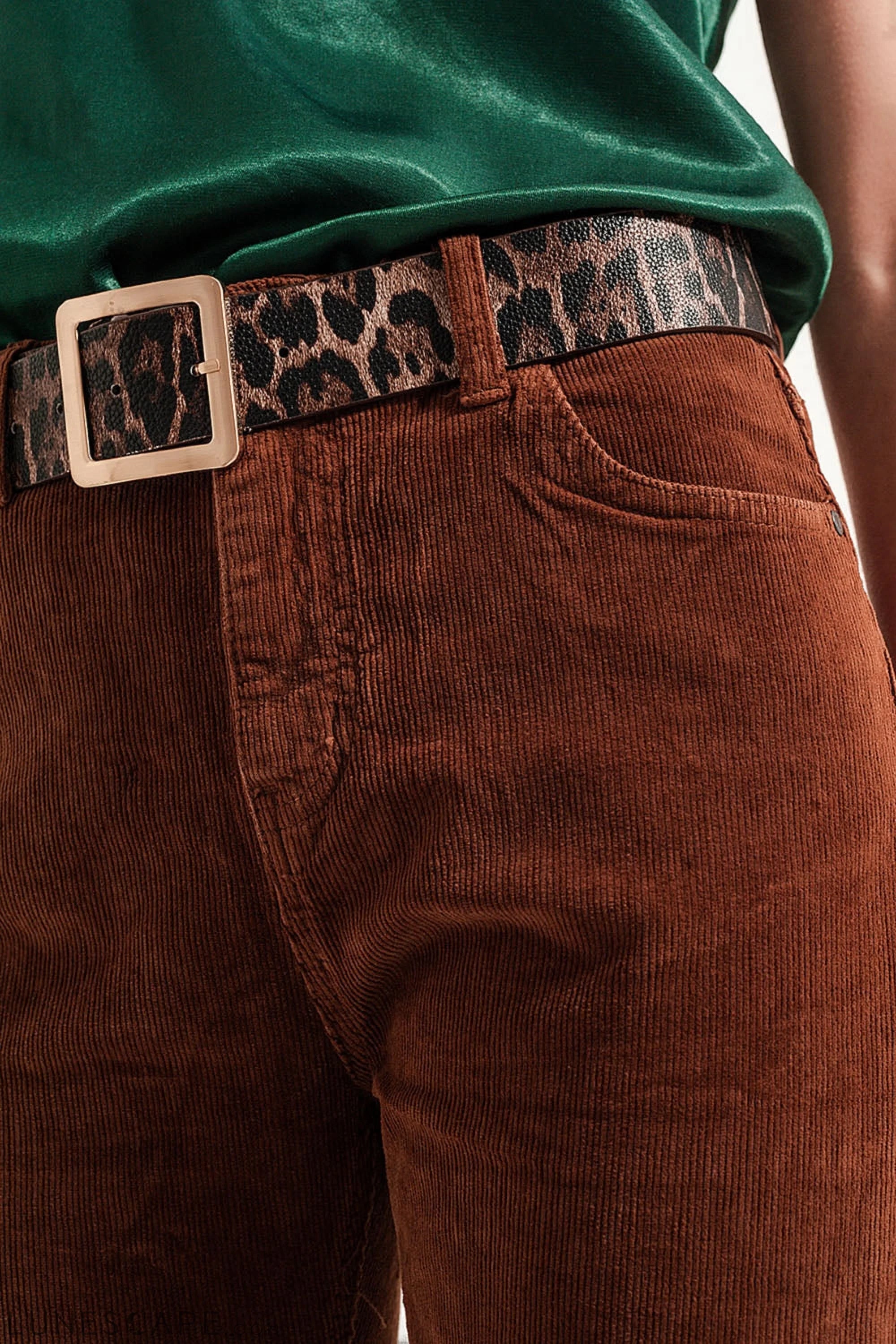 Flare Corduroy Pants in Brown LUNESCAPE