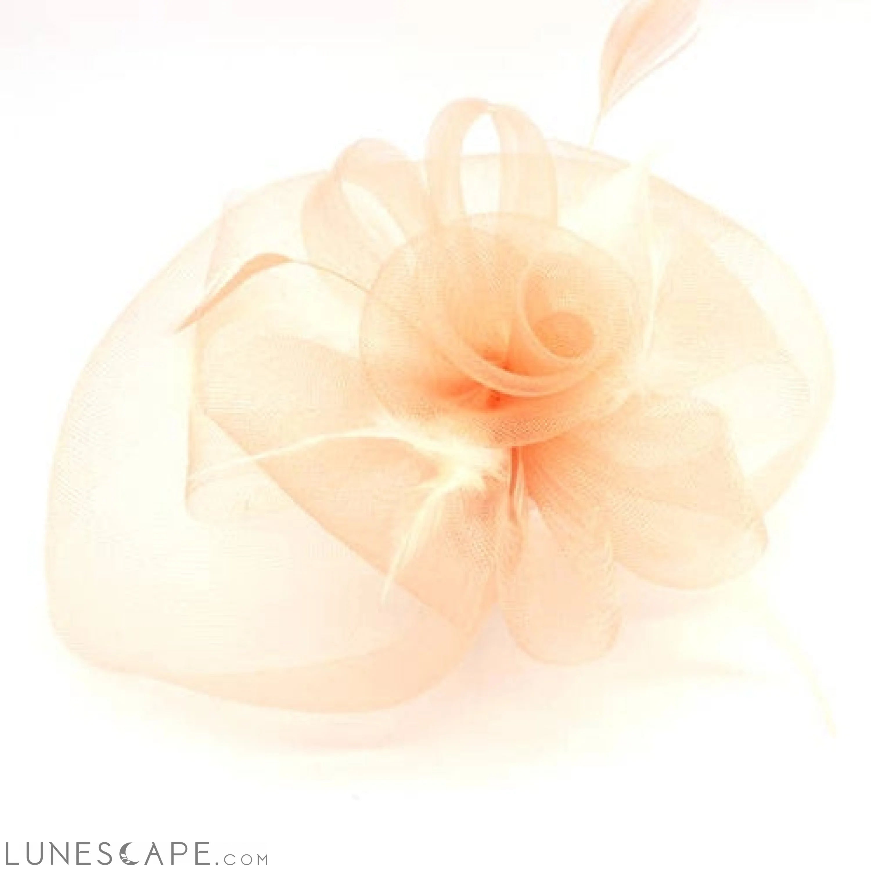FLOWER FASCINATOR LUNESCAPE