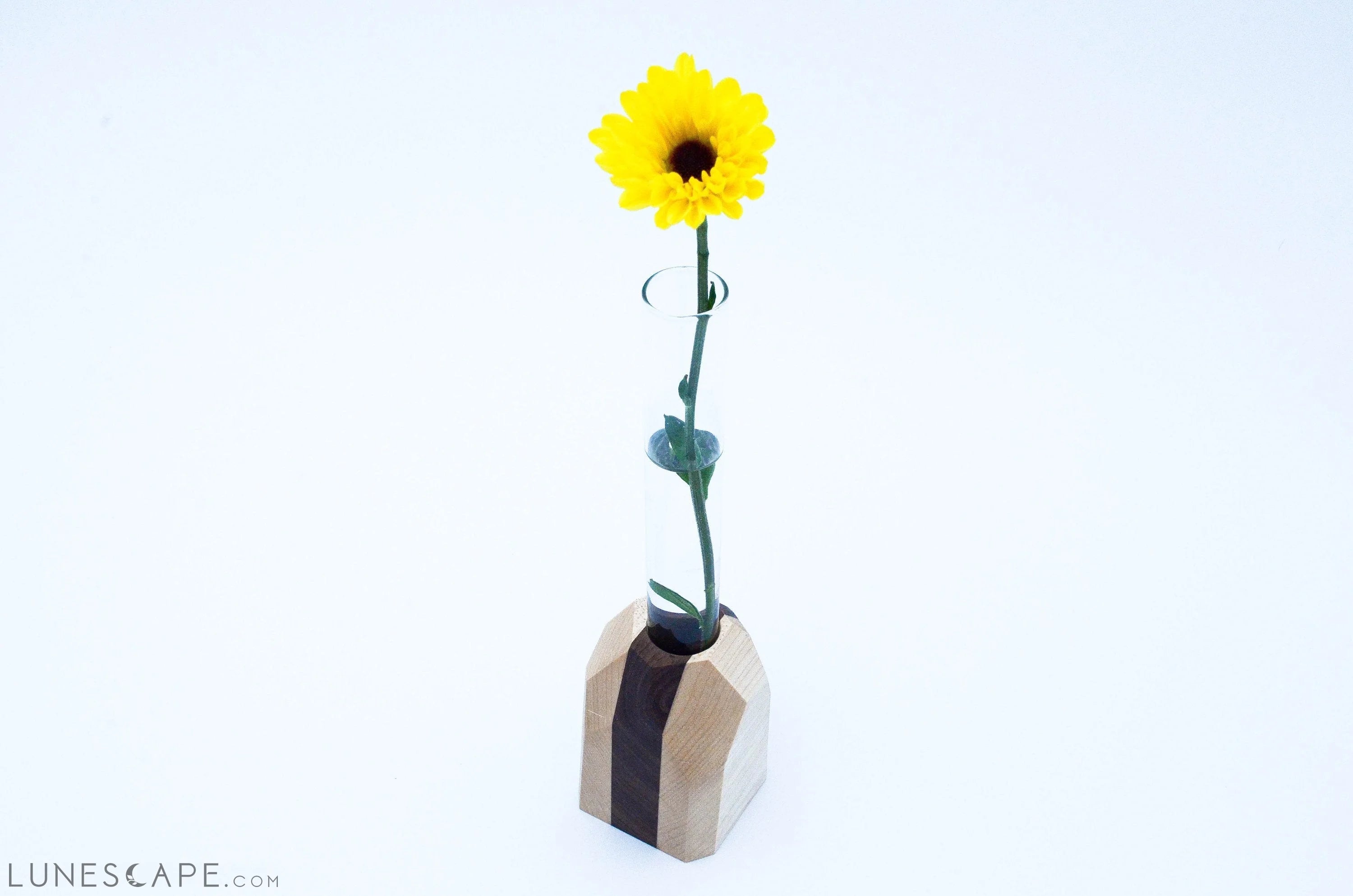 Geometric Flower Vase LUNESCAPE