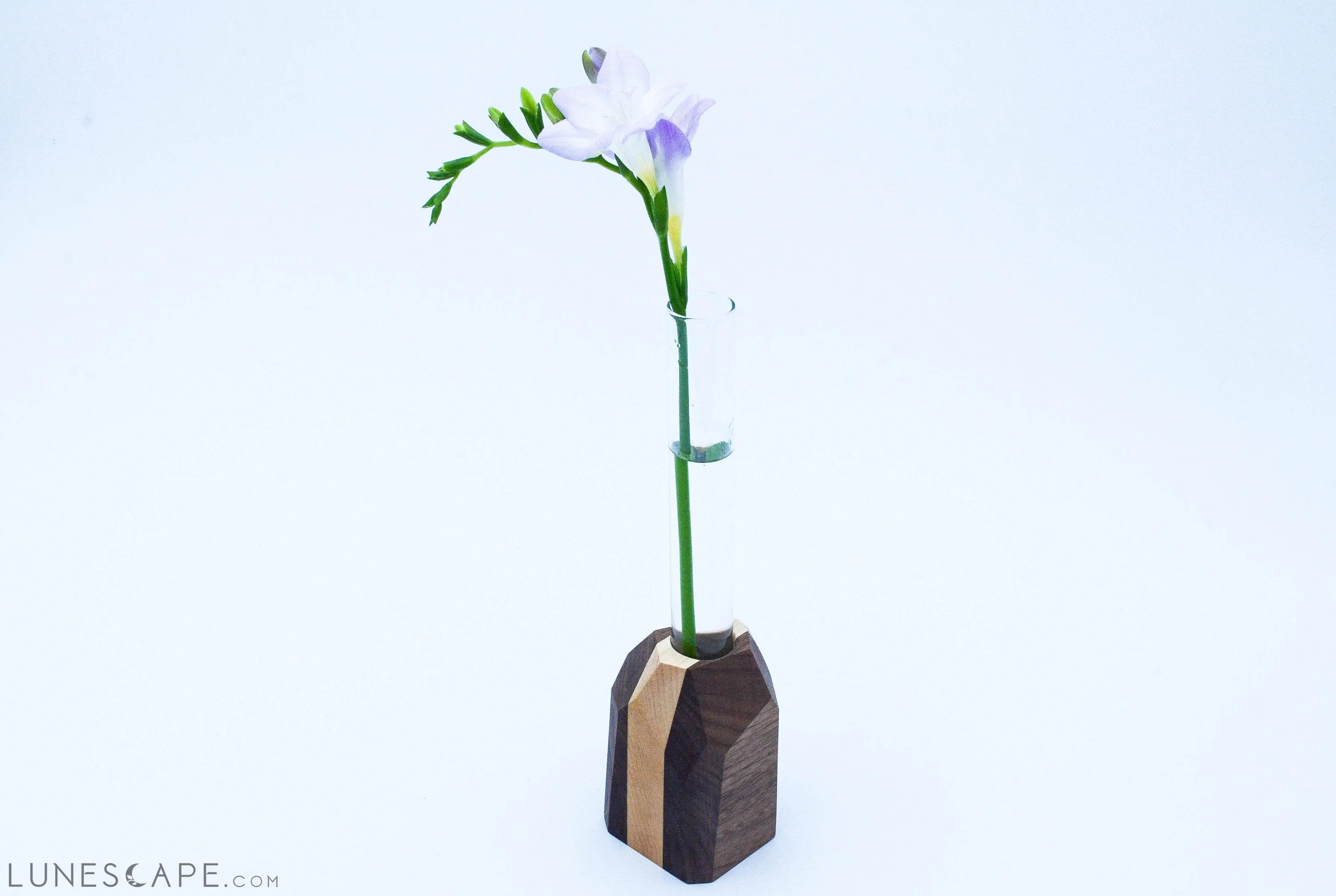 Geometric Flower Vase LUNESCAPE