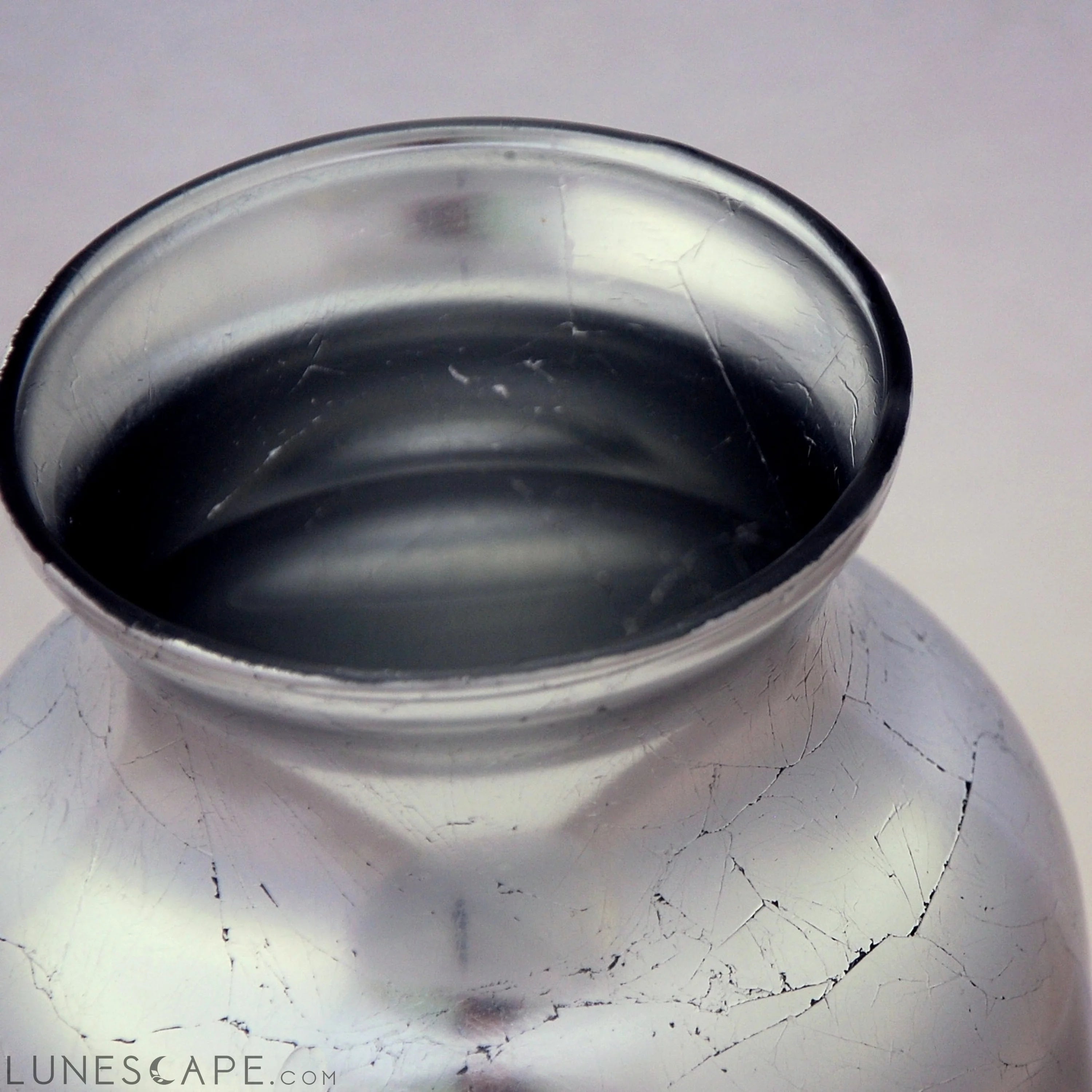 GILT 7" Silver Flower Vase LUNESCAPE