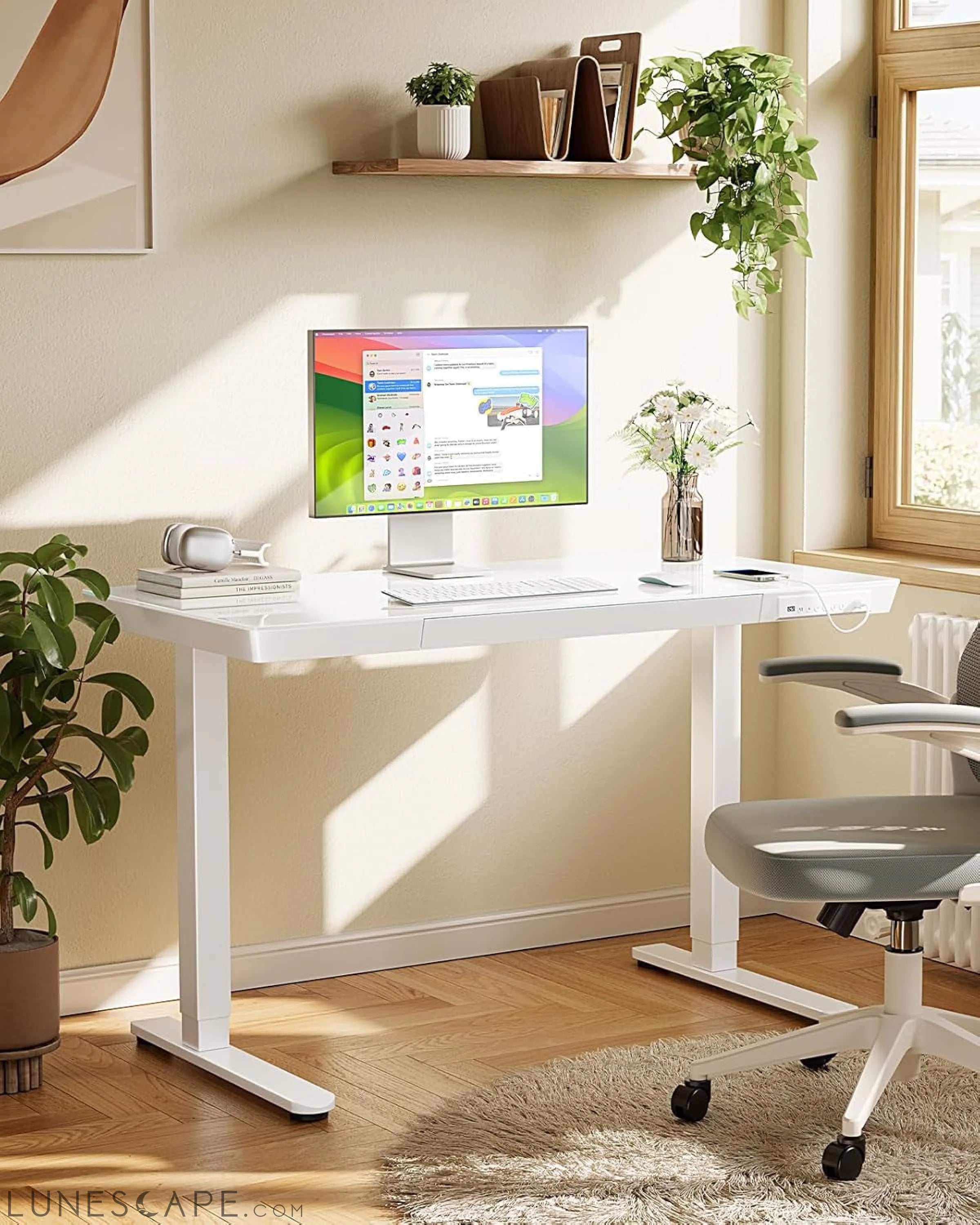Glass Standing Desk with Drawer, 48 X 24 Inch Electric Standing Desk, LUNESCAPE