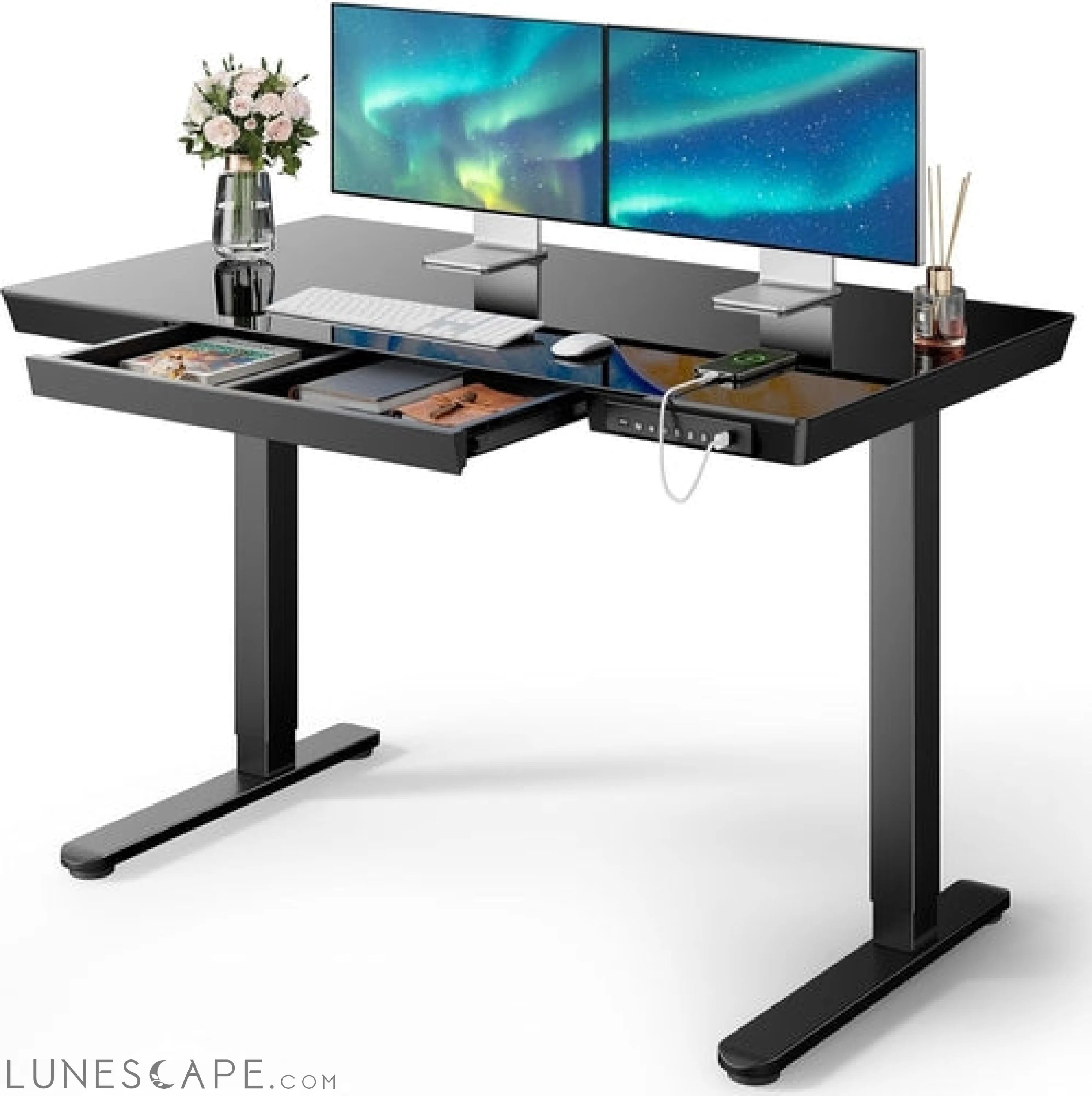 Glass Standing Desk with Drawer, 48 X 24 Inch Electric Standing Desk, LUNESCAPE