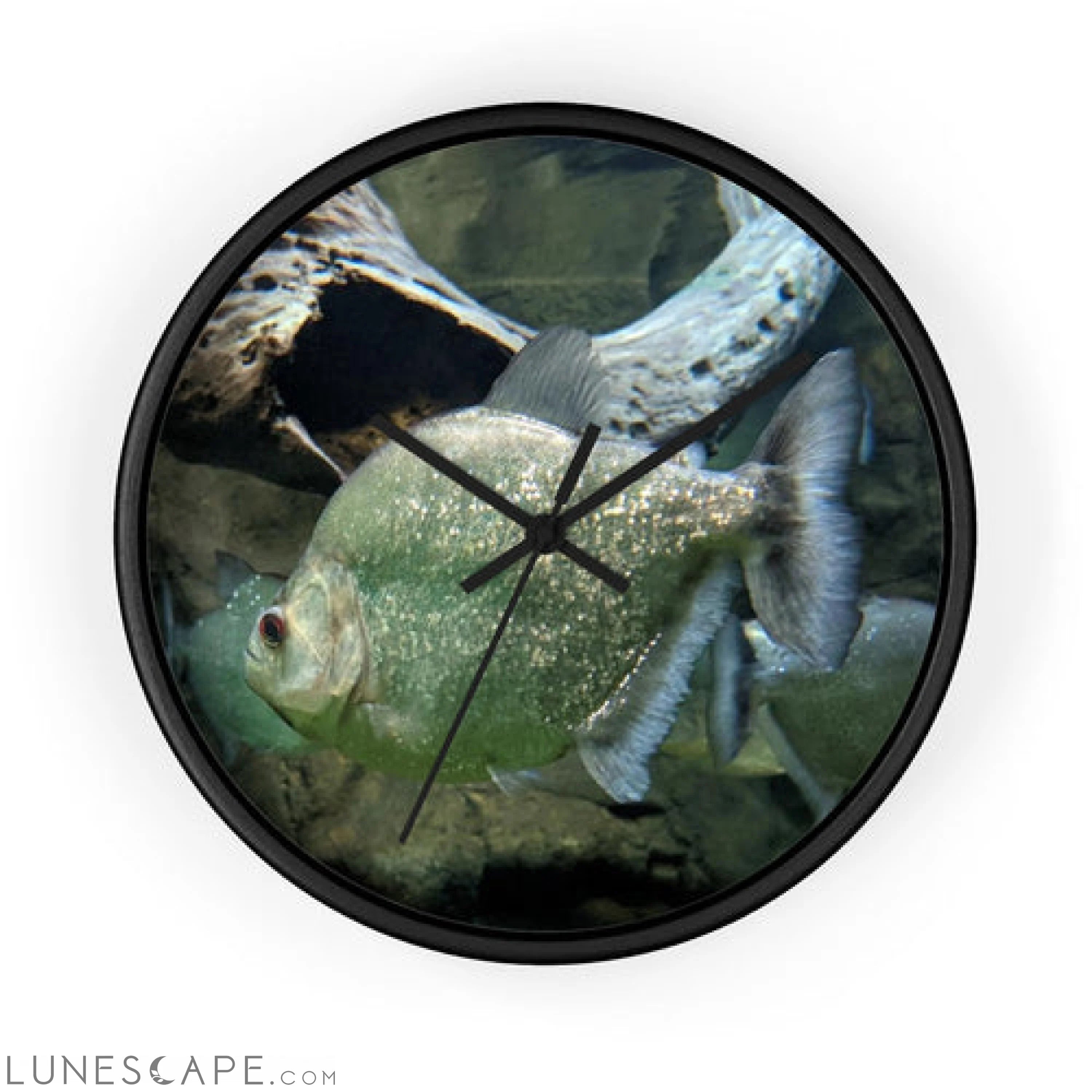 Glitter Green Fish Wall clock LUNESCAPE
