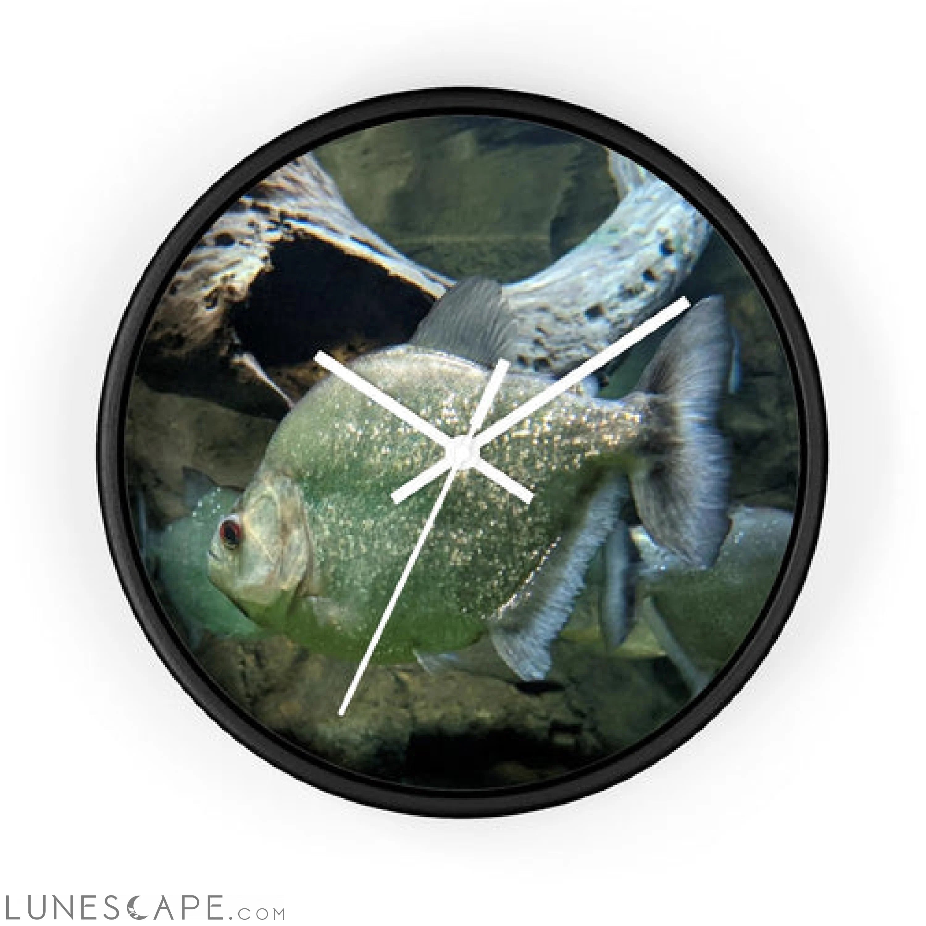 Glitter Green Fish Wall clock LUNESCAPE
