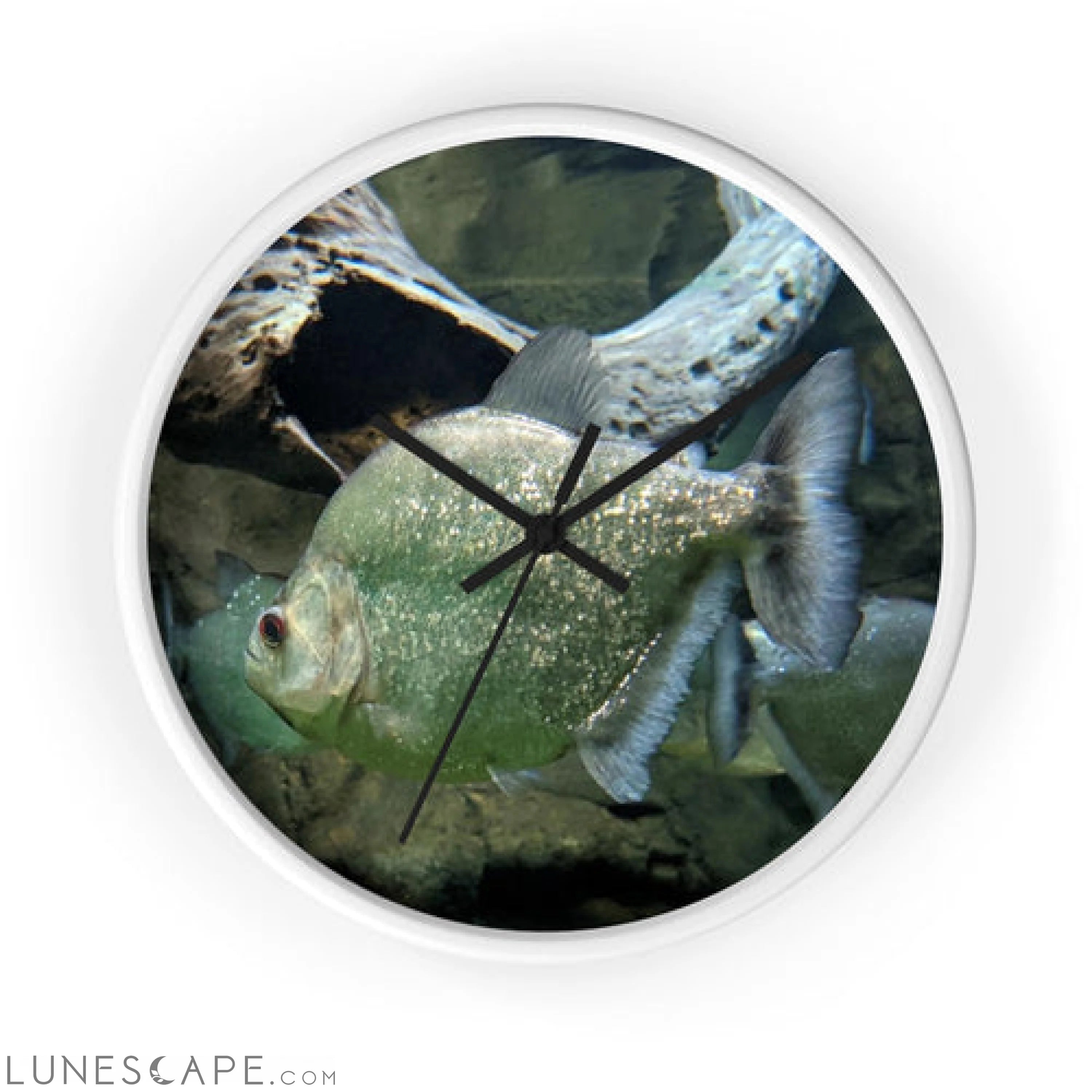 Glitter Green Fish Wall clock LUNESCAPE