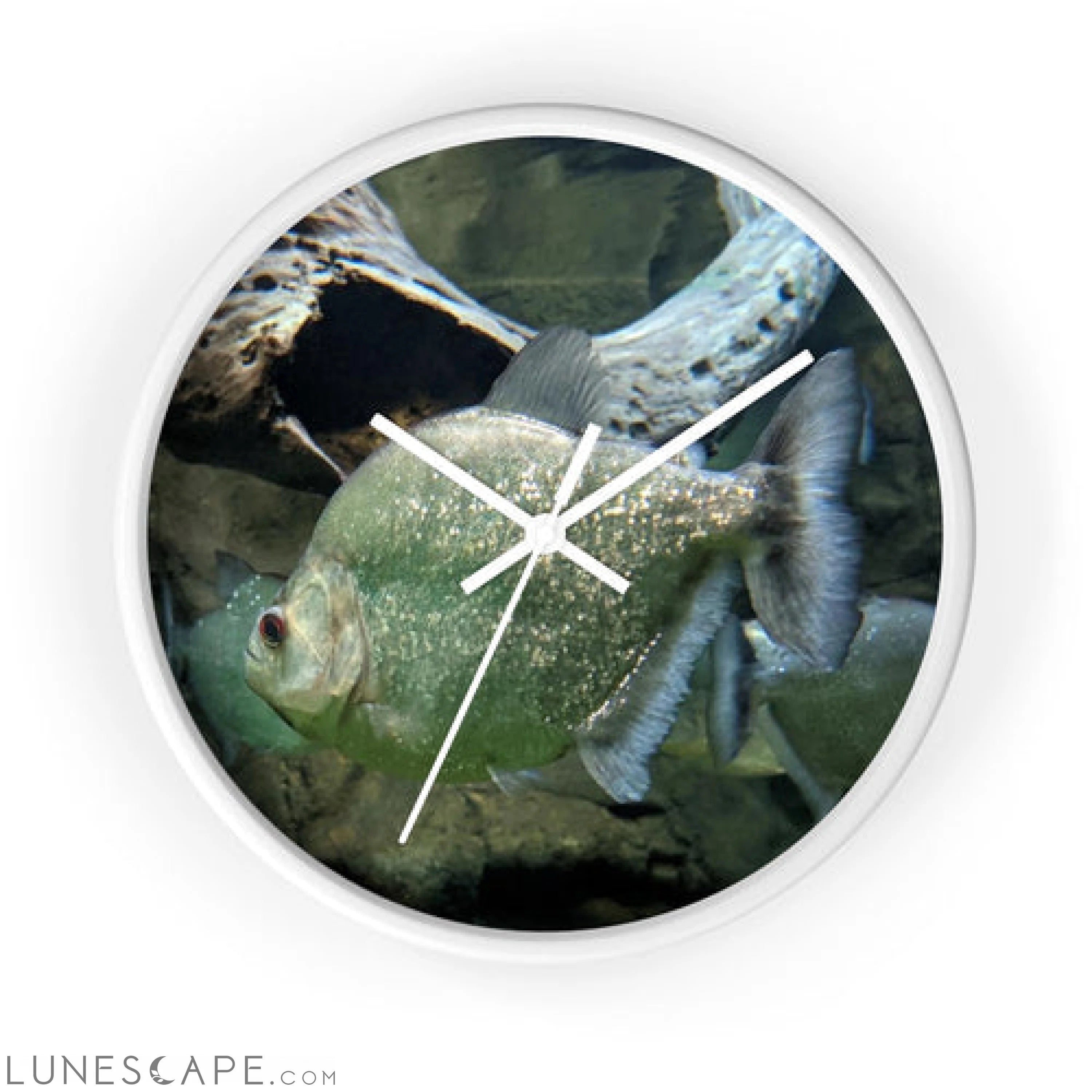 Glitter Green Fish Wall clock LUNESCAPE