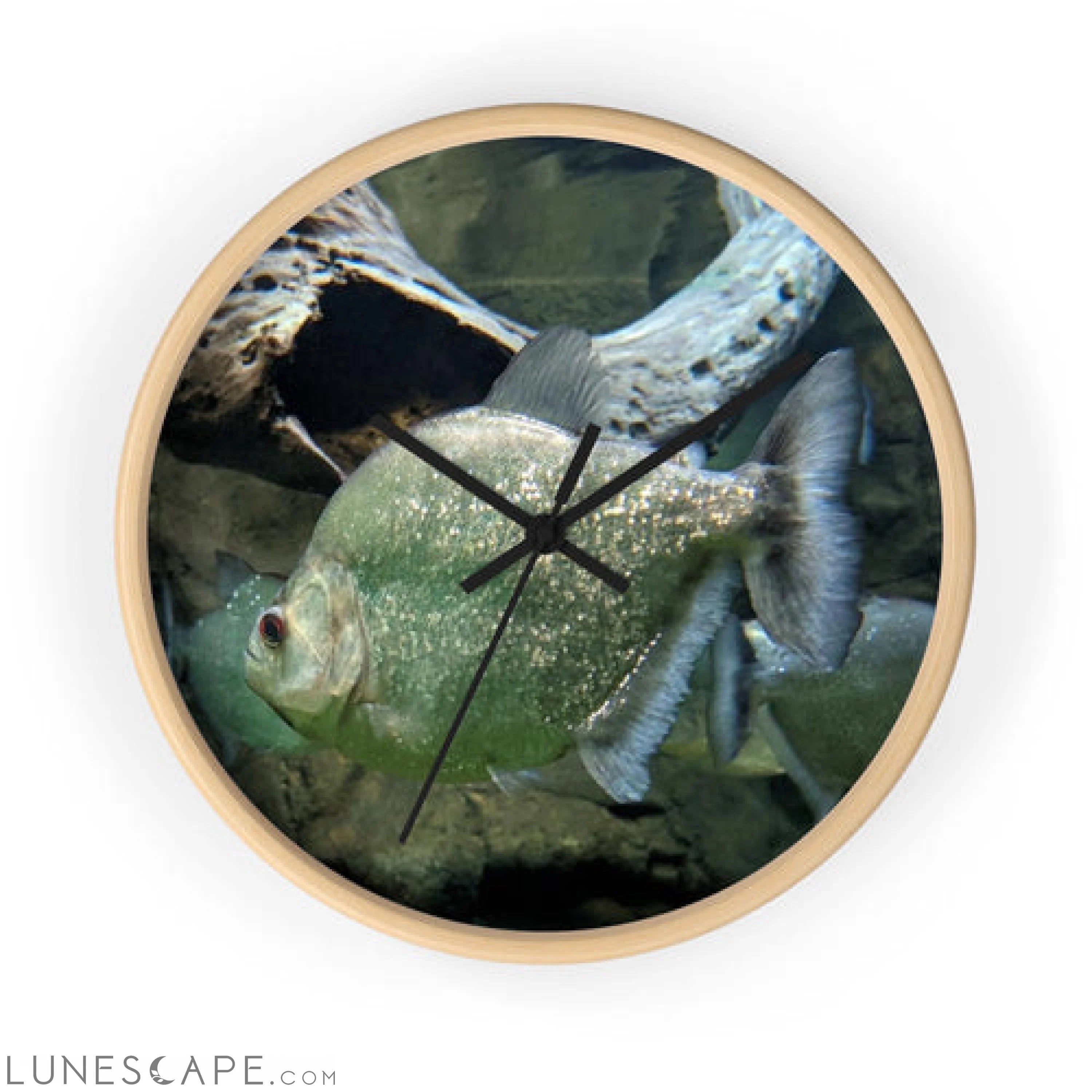 Glitter Green Fish Wall clock LUNESCAPE
