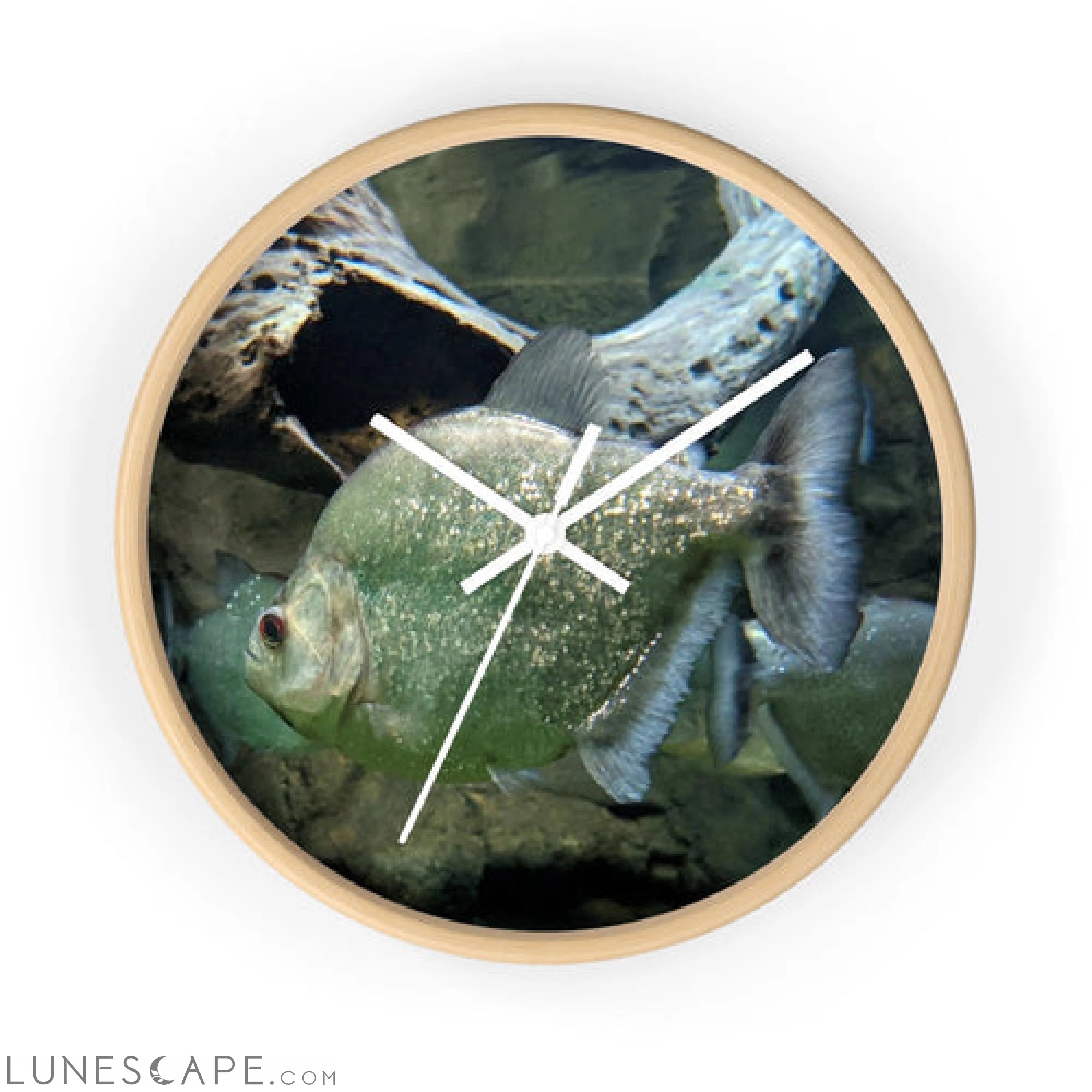 Glitter Green Fish Wall clock LUNESCAPE