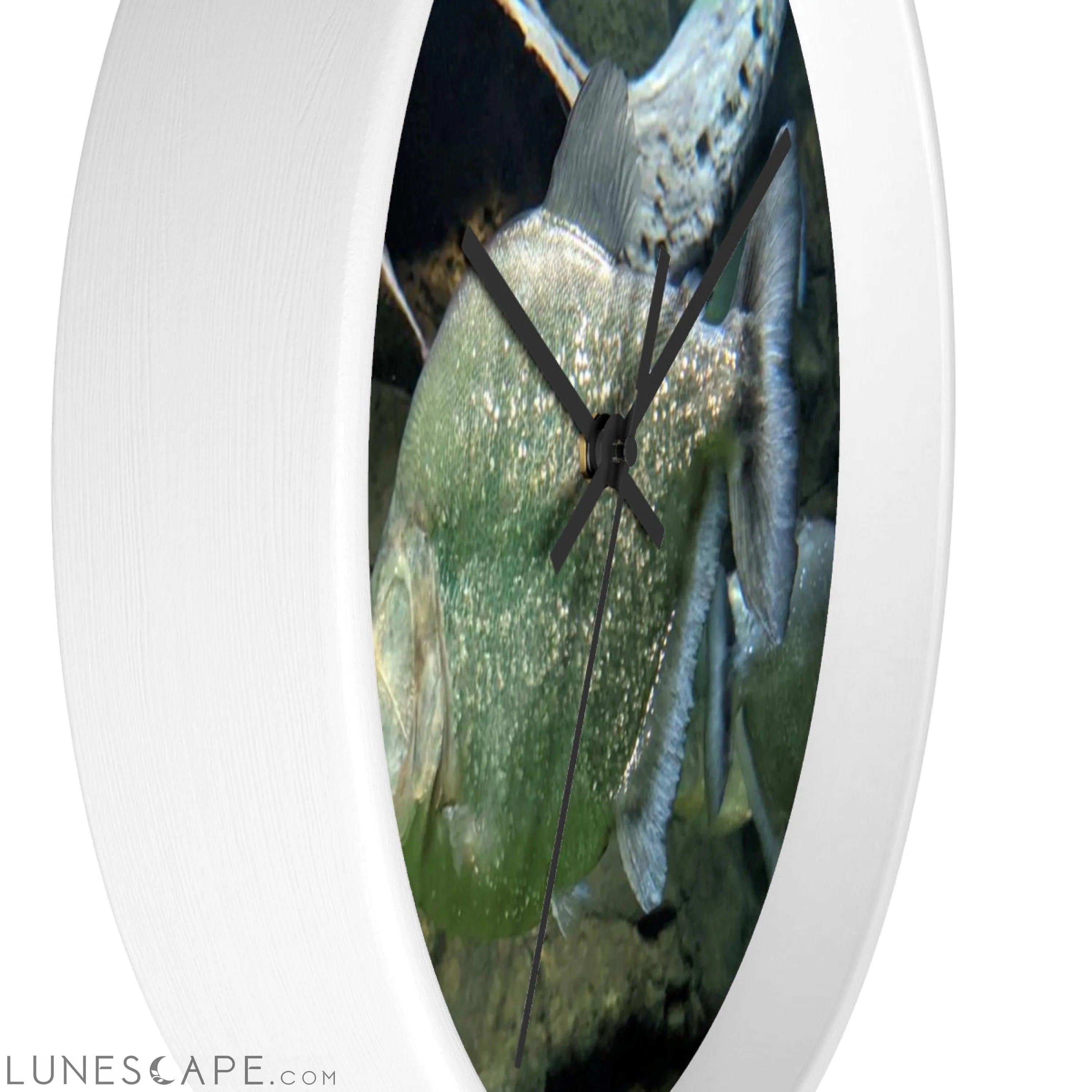 Glitter Green Fish Wall clock LUNESCAPE