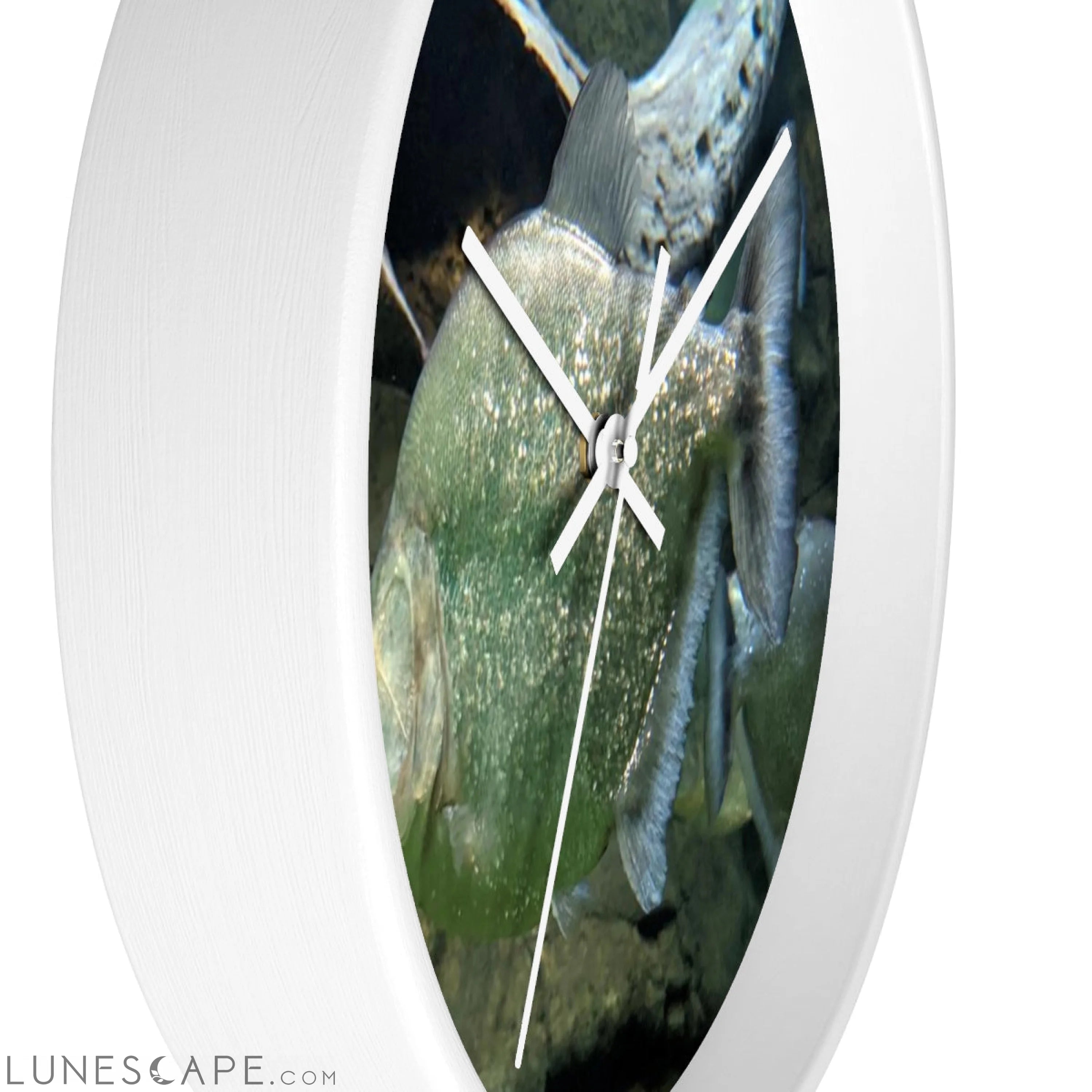 Glitter Green Fish Wall clock LUNESCAPE