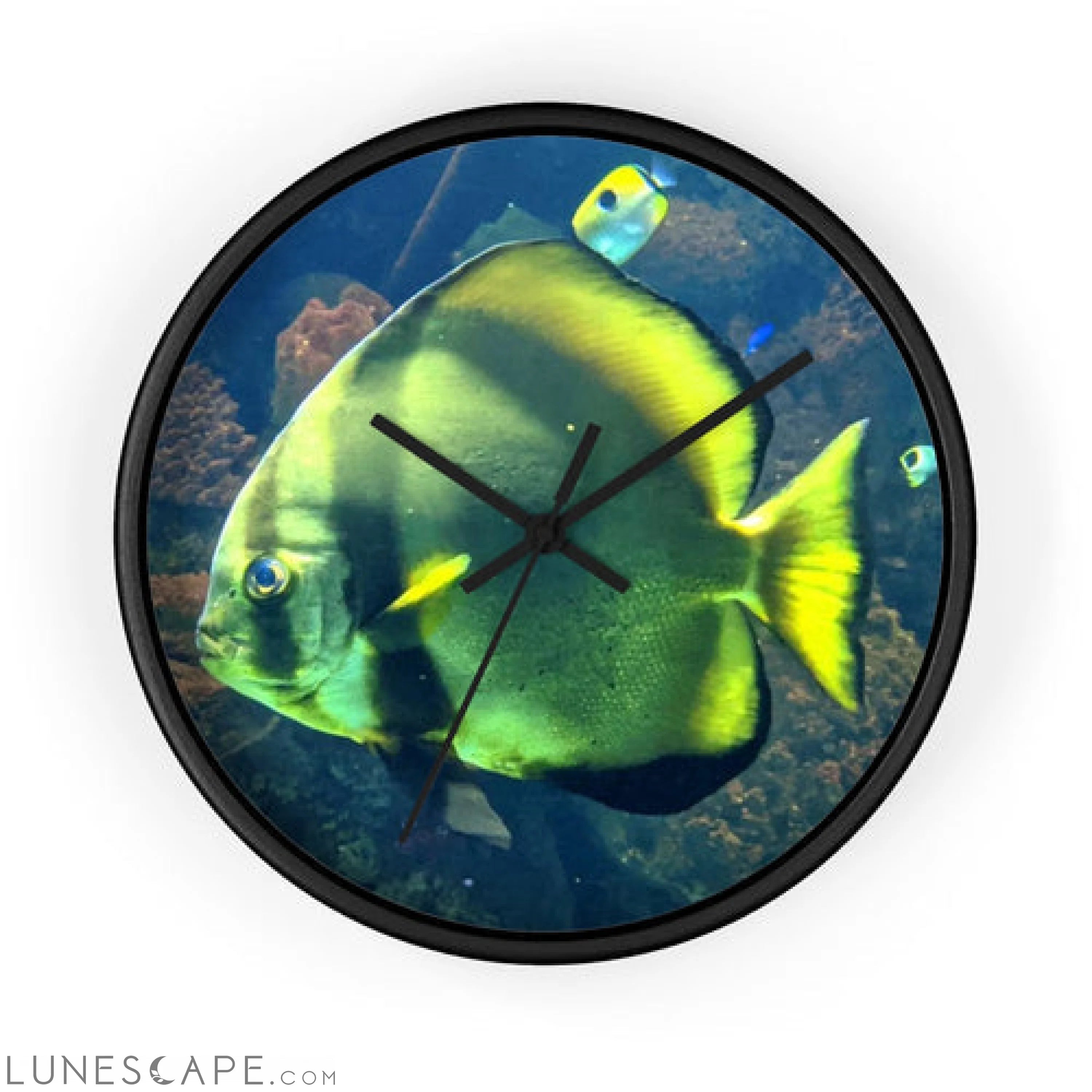 Green Fish Wall clock LUNESCAPE