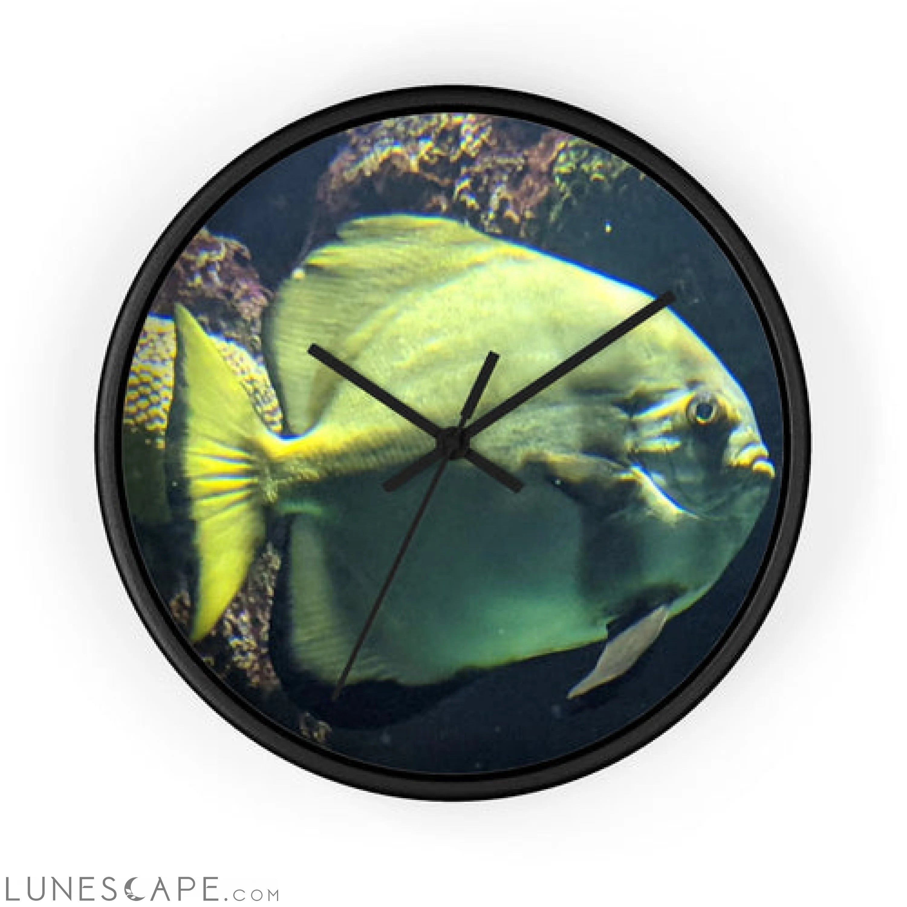 Green Fish Wall clock LUNESCAPE
