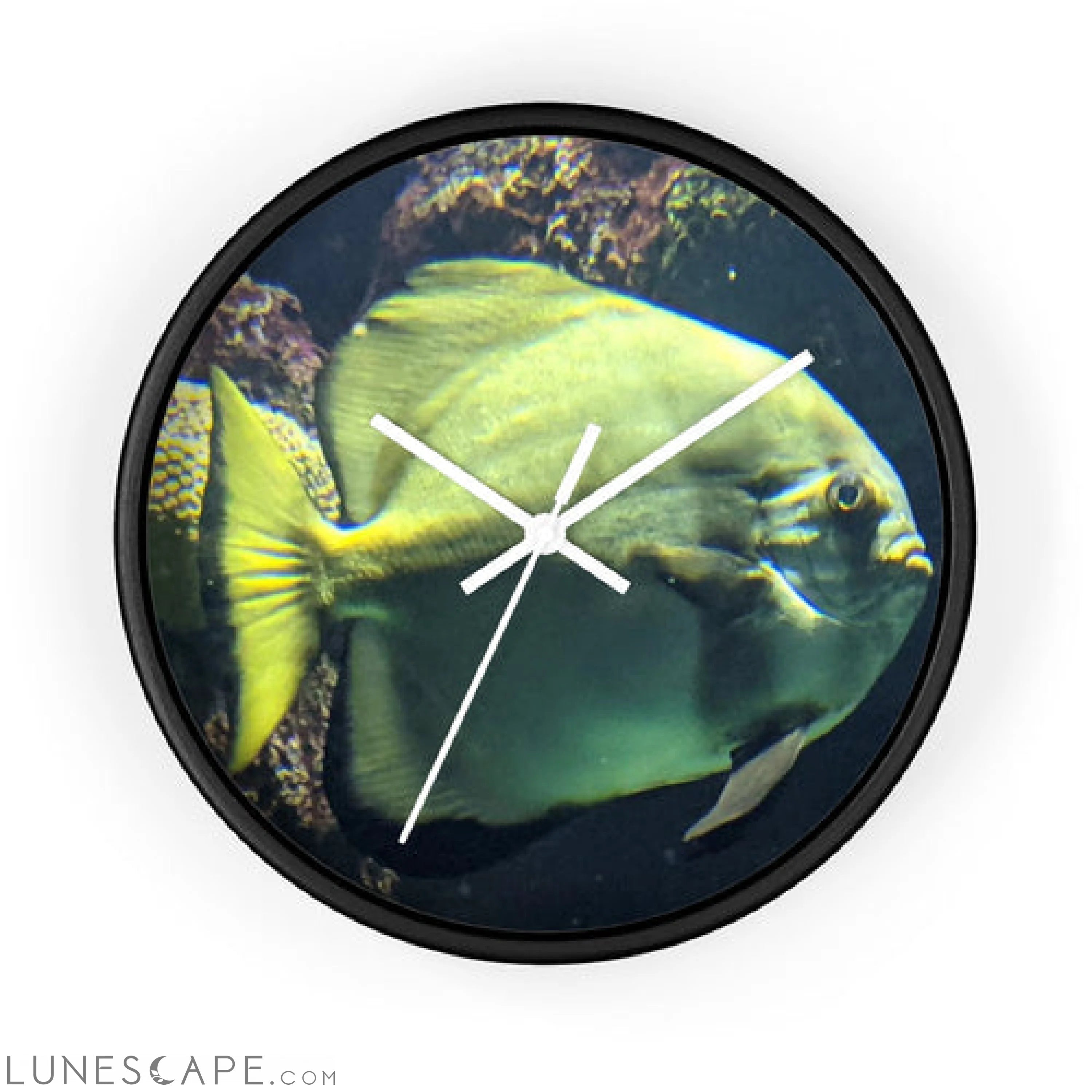 Green Fish Wall clock LUNESCAPE