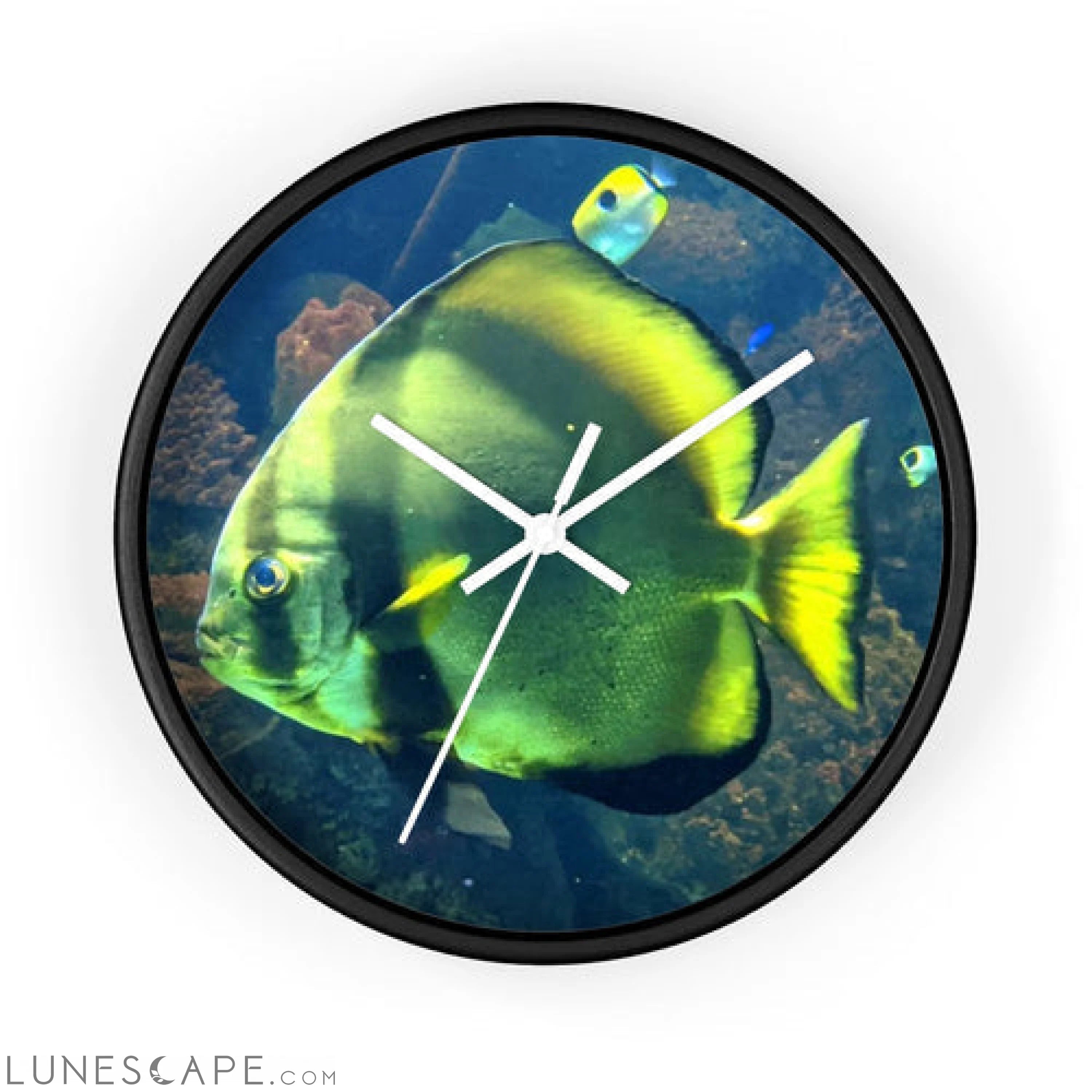 Green Fish Wall clock LUNESCAPE