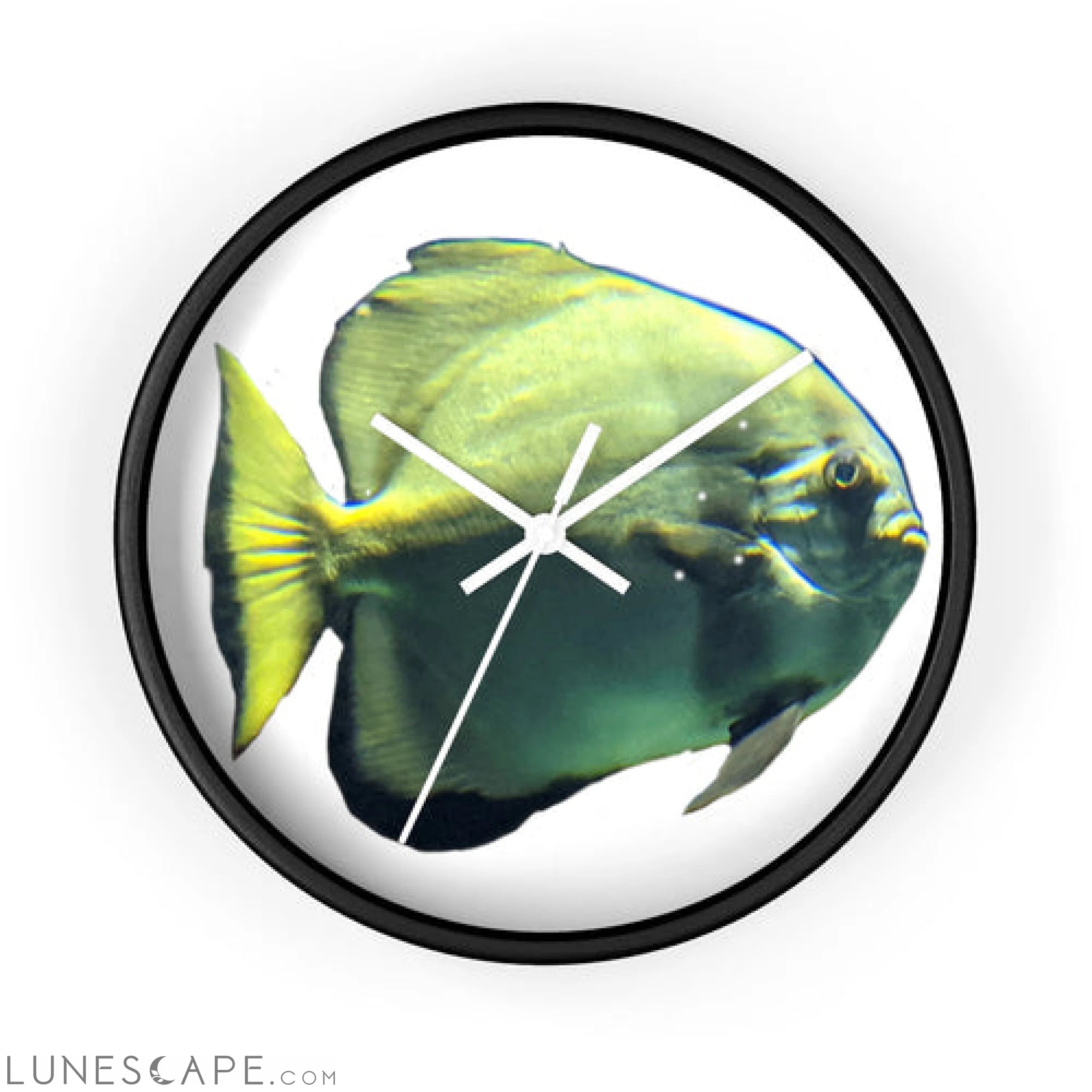 Green Fish Wall clock LUNESCAPE