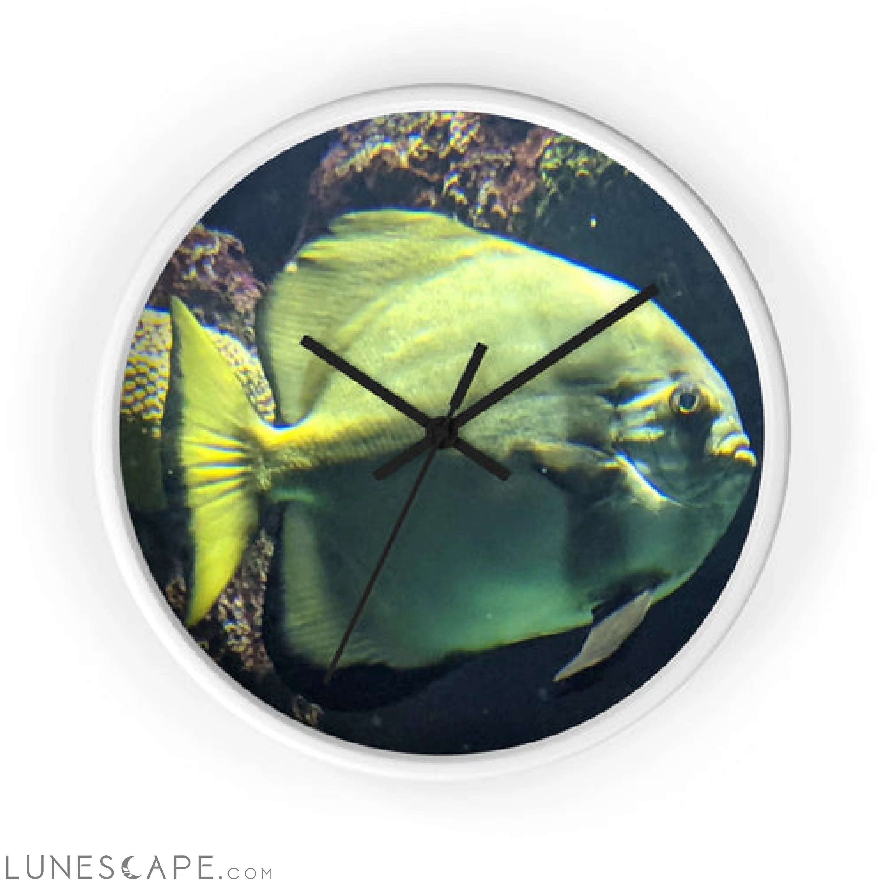 Green Fish Wall clock LUNESCAPE