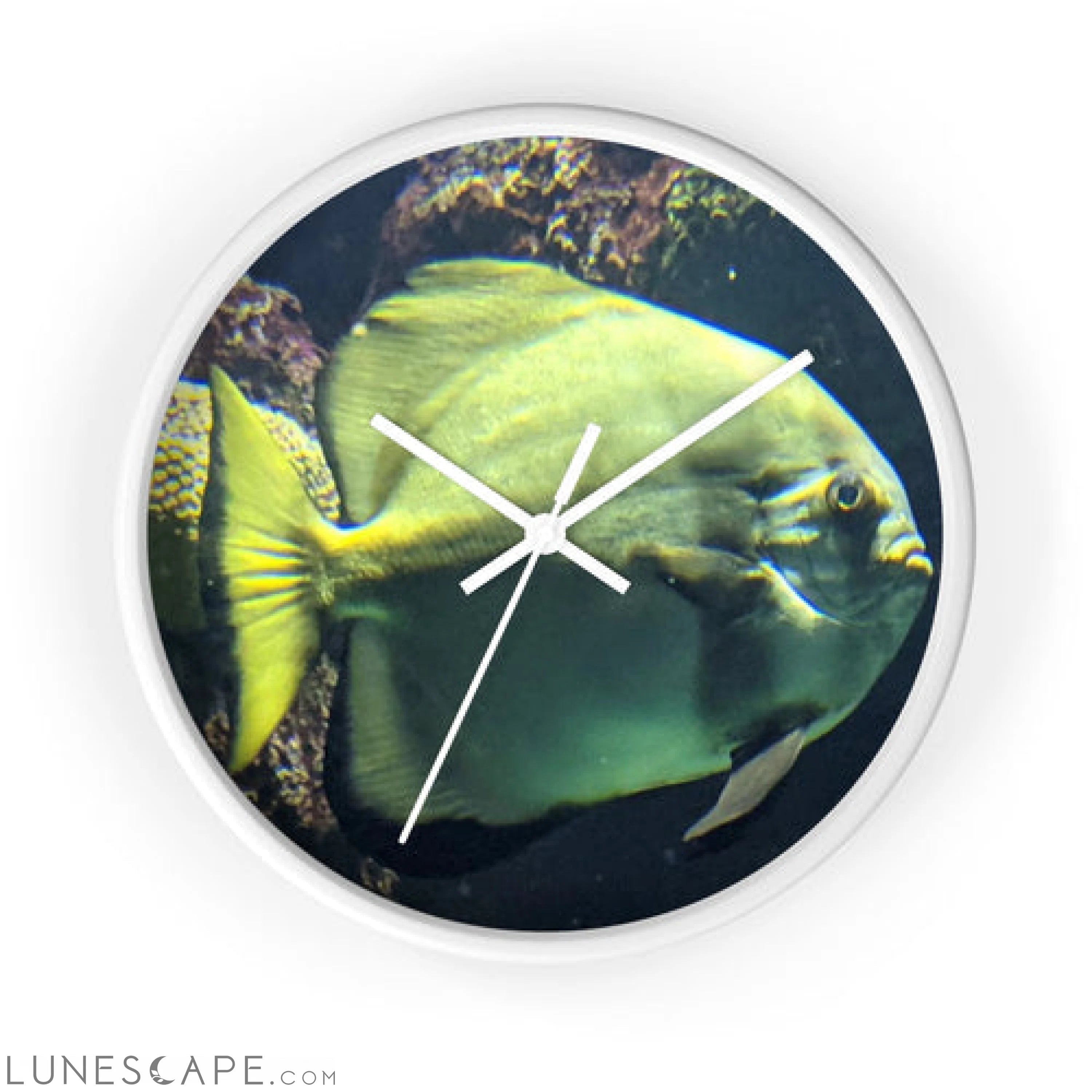 Green Fish Wall clock LUNESCAPE