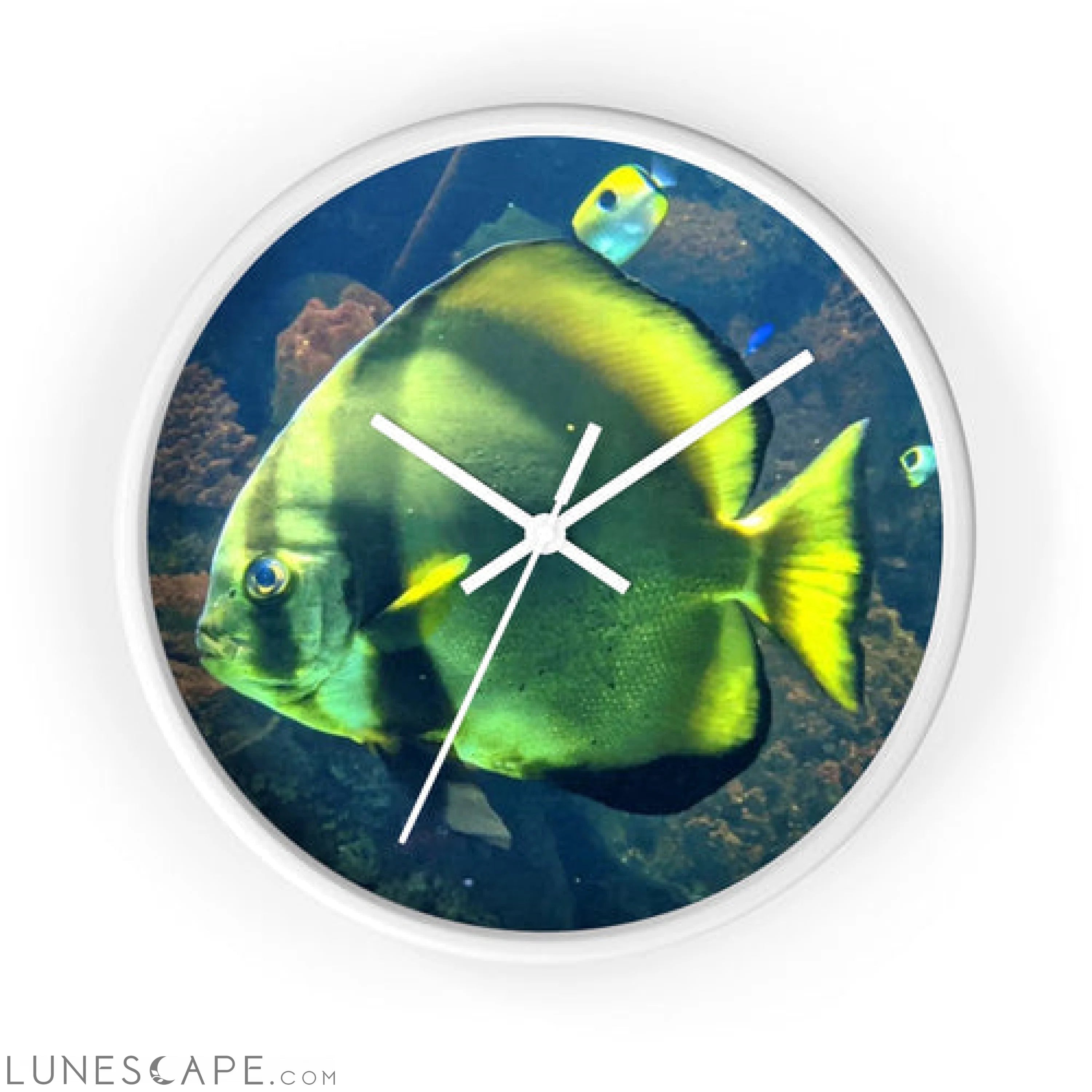 Green Fish Wall clock LUNESCAPE