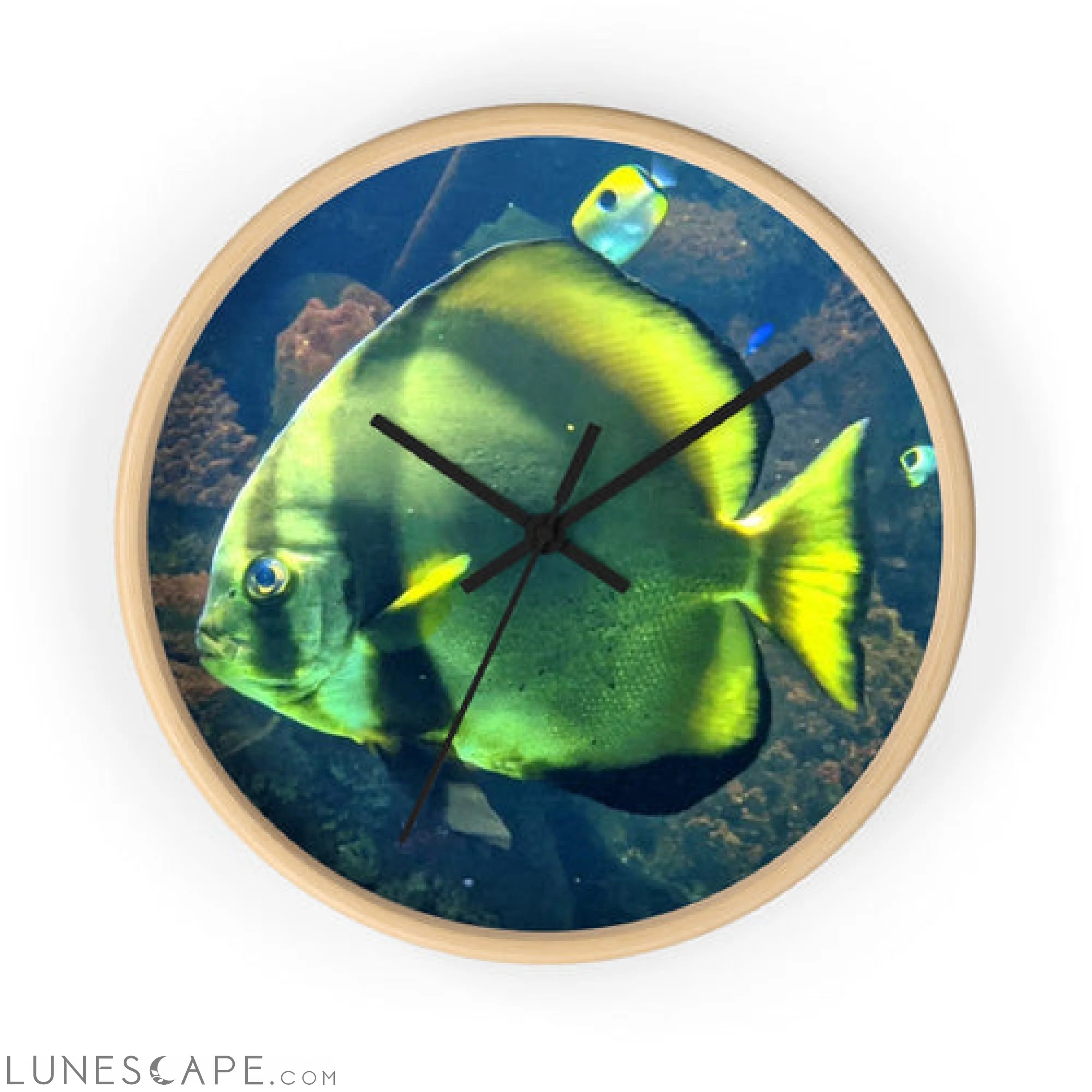 Green Fish Wall clock LUNESCAPE