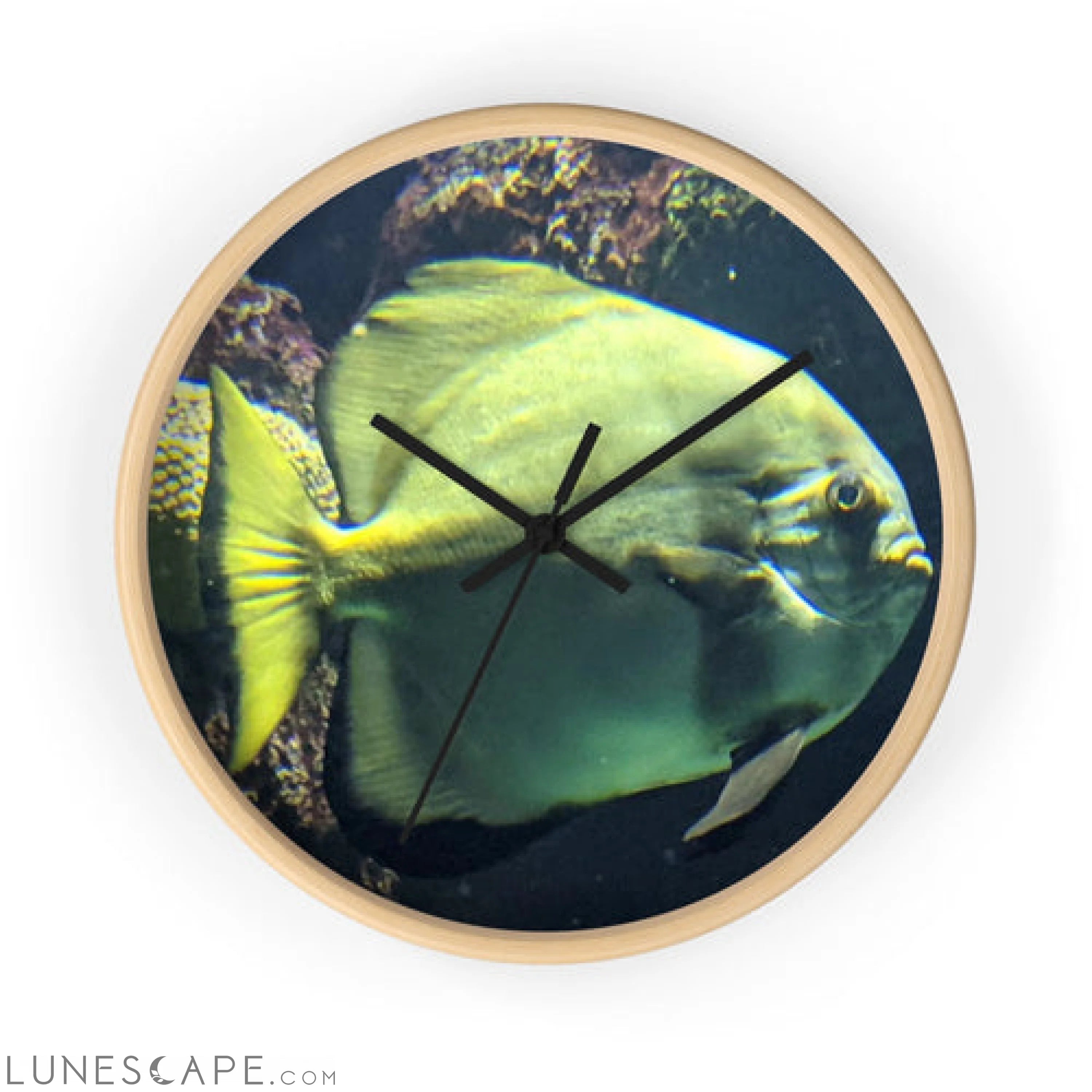 Green Fish Wall clock LUNESCAPE
