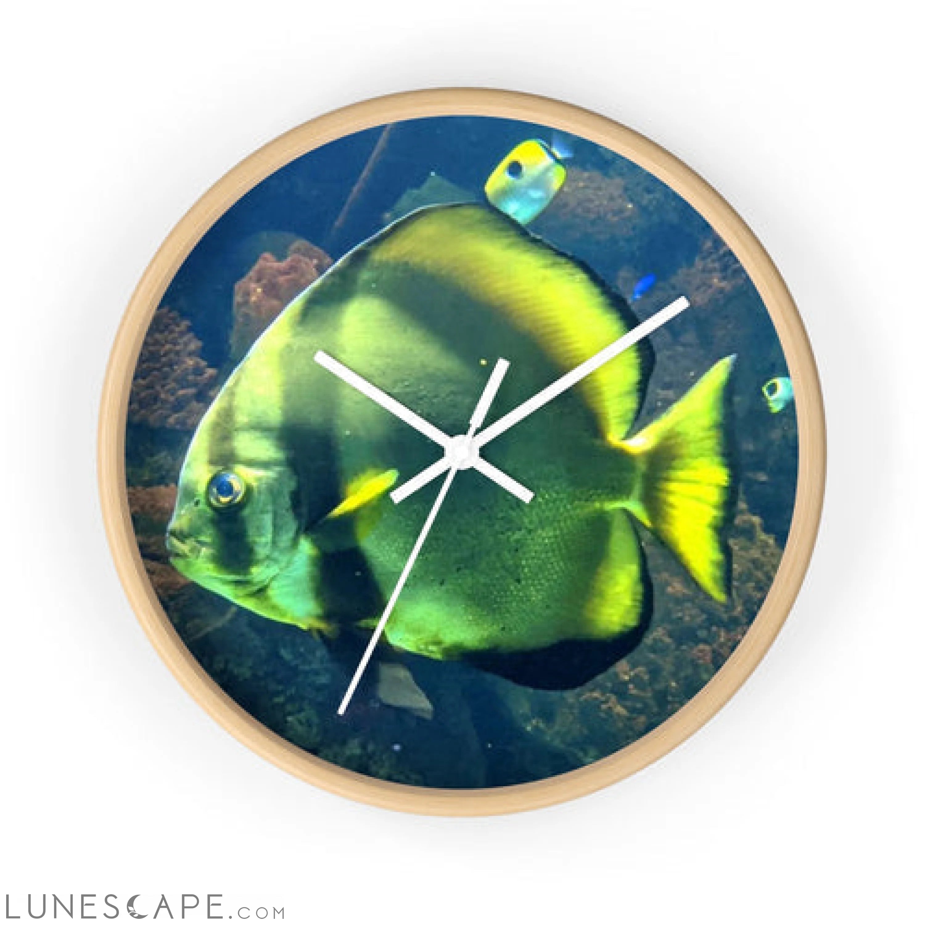 Green Fish Wall clock LUNESCAPE