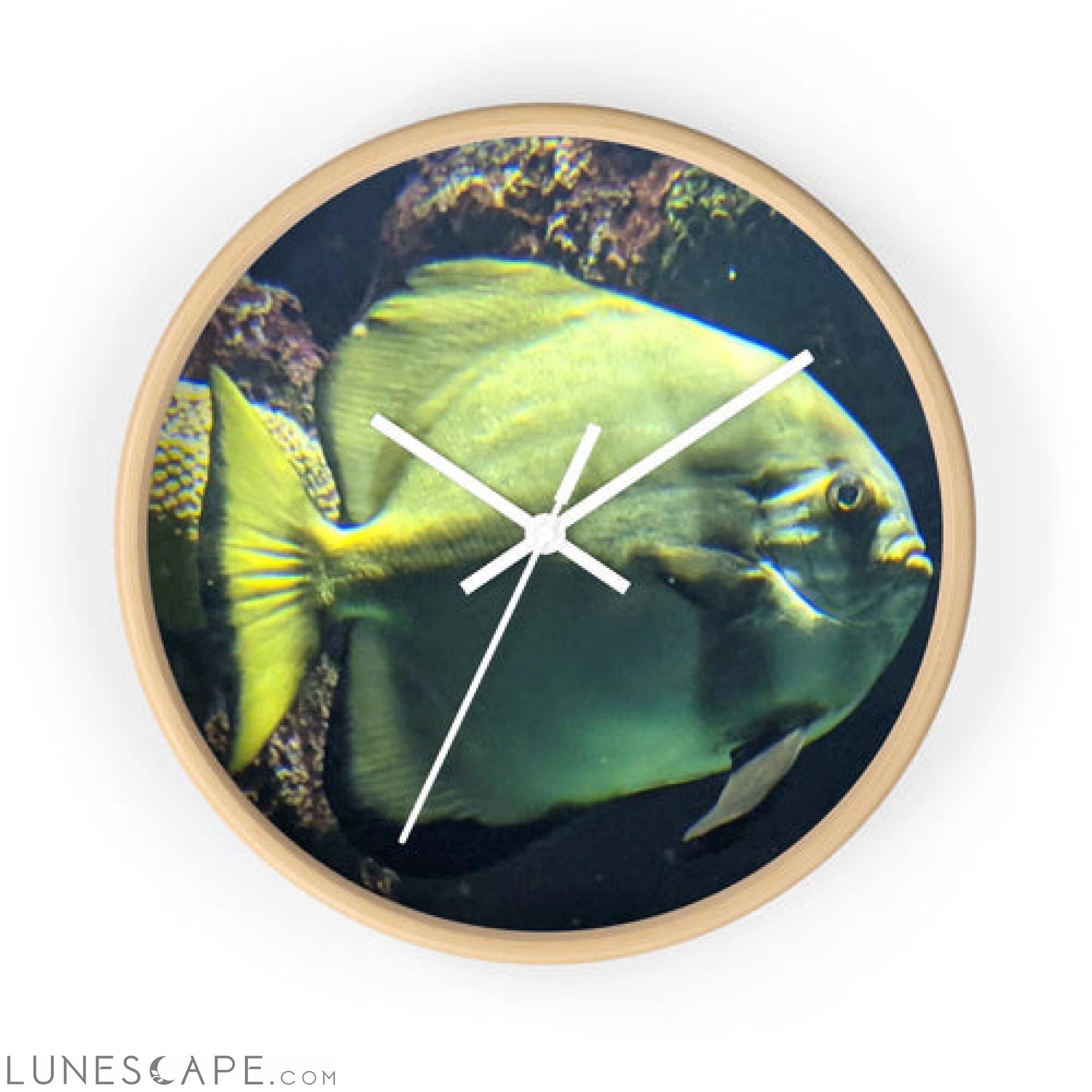 Green Fish Wall clock LUNESCAPE