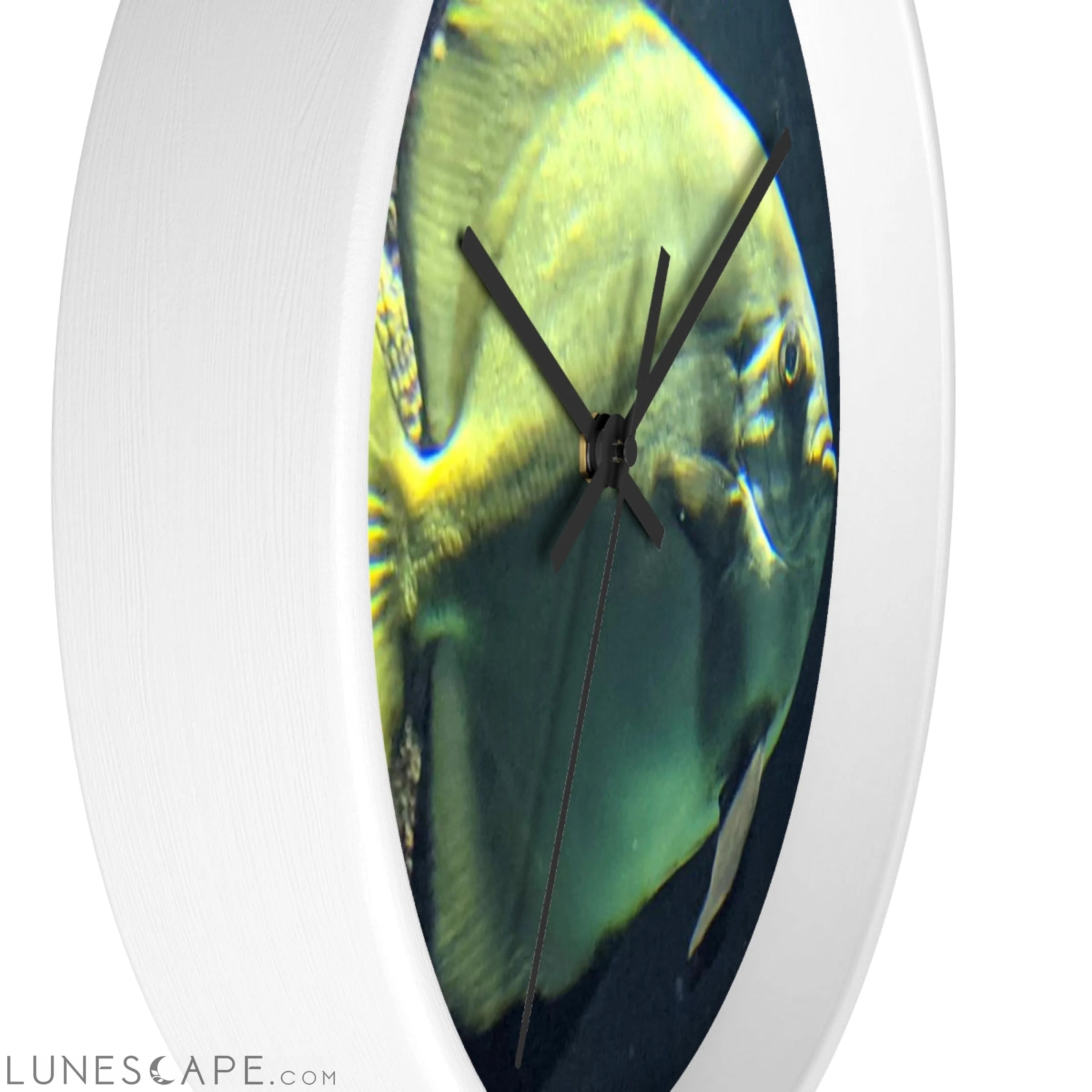 Green Fish Wall clock LUNESCAPE