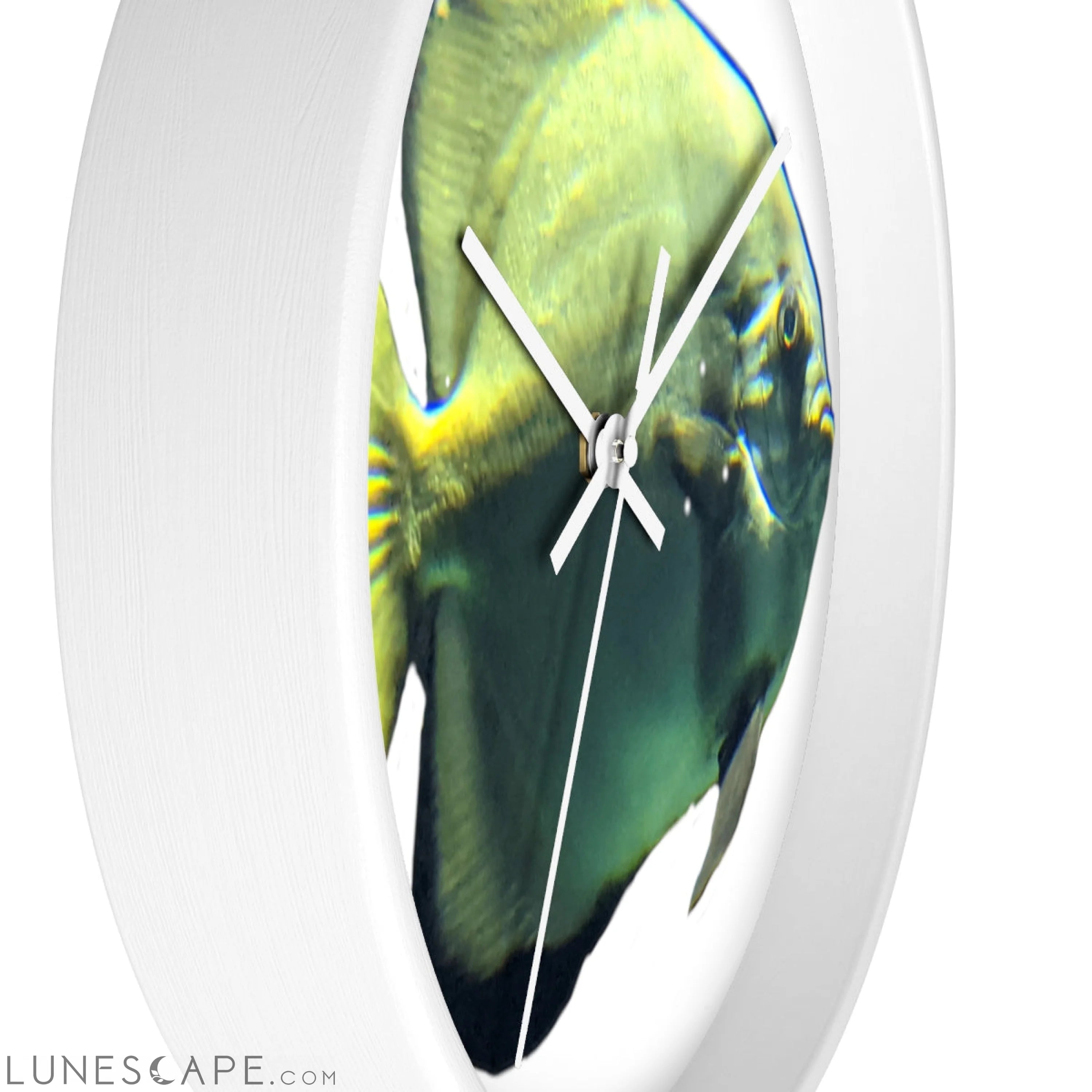 Green Fish Wall clock LUNESCAPE