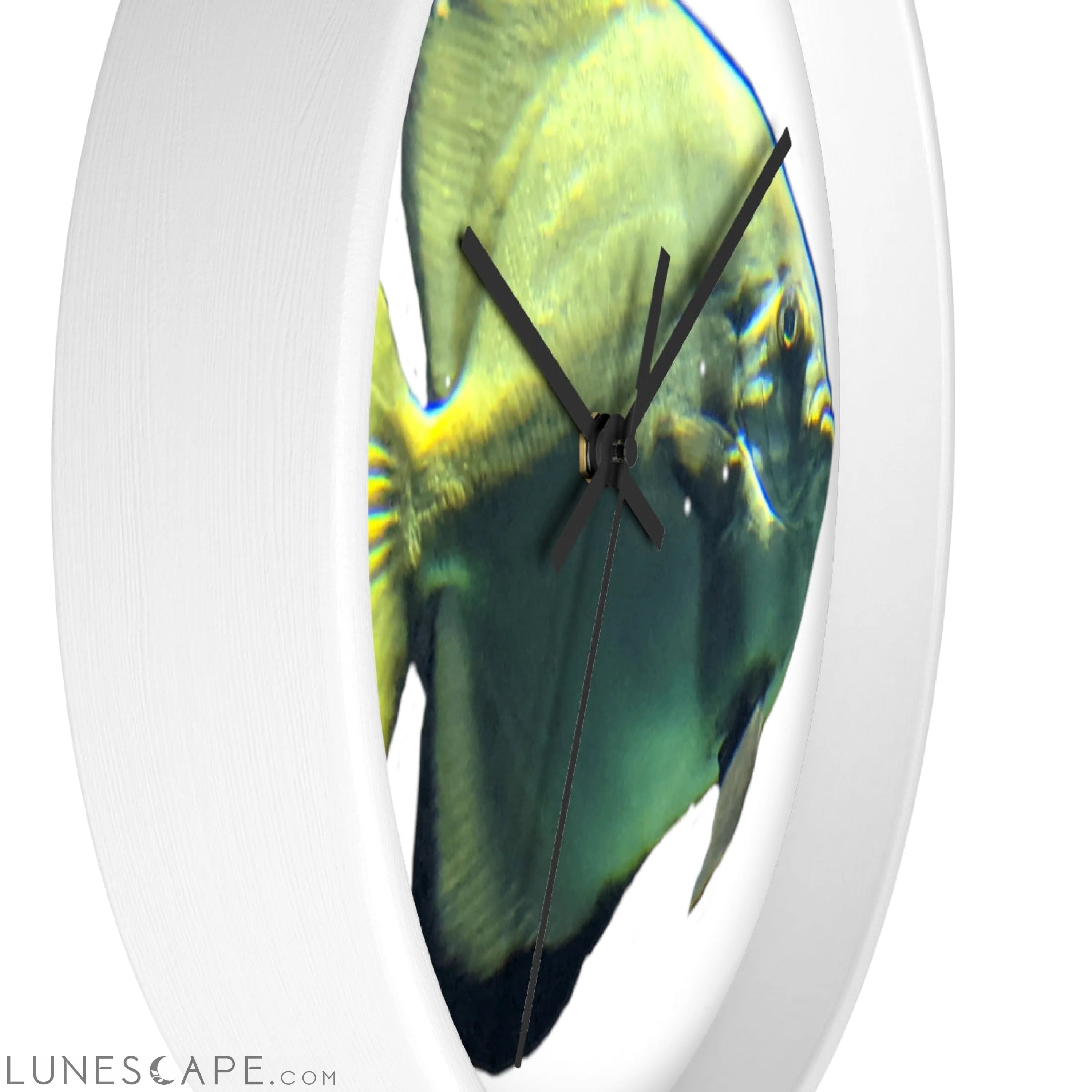 Green Fish Wall clock LUNESCAPE