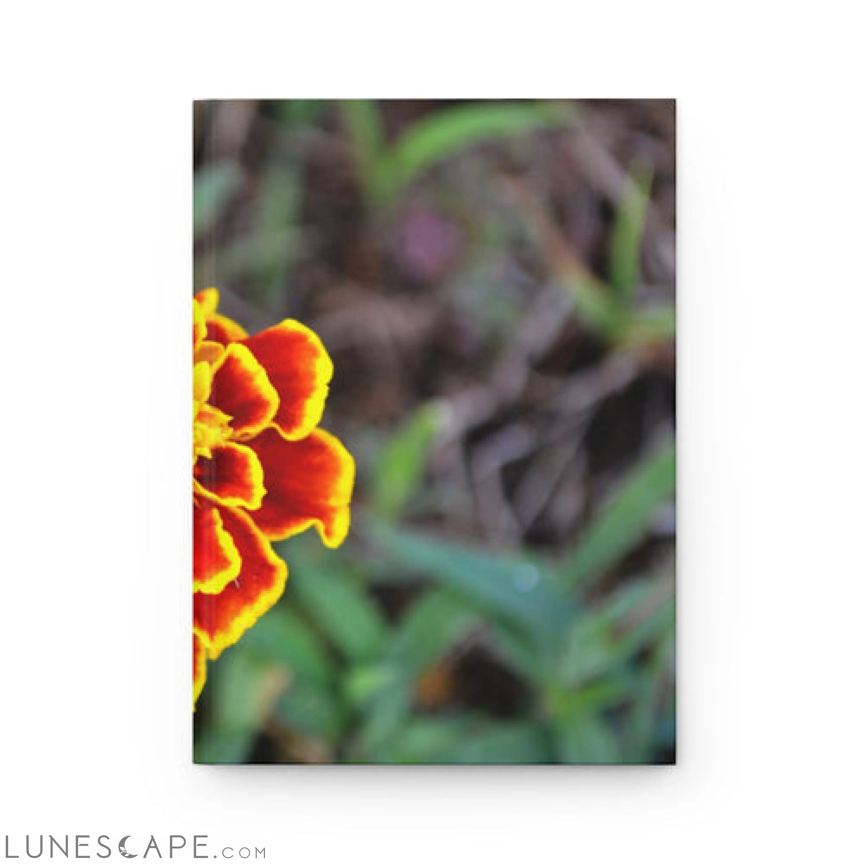 Hardcover Journal Matte LUNESCAPE