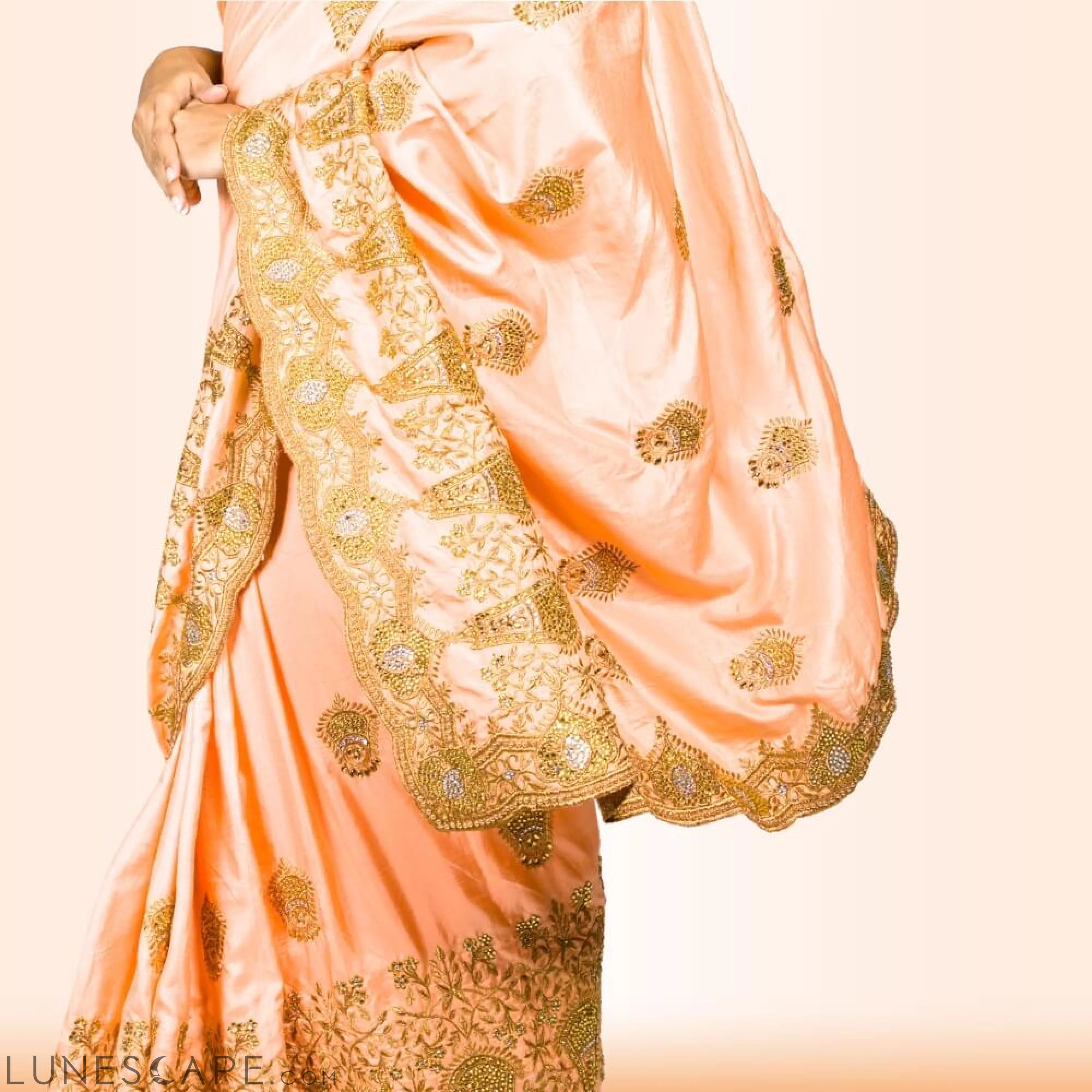 Heavy Embroidered Saree in Blush LUNESCAPE