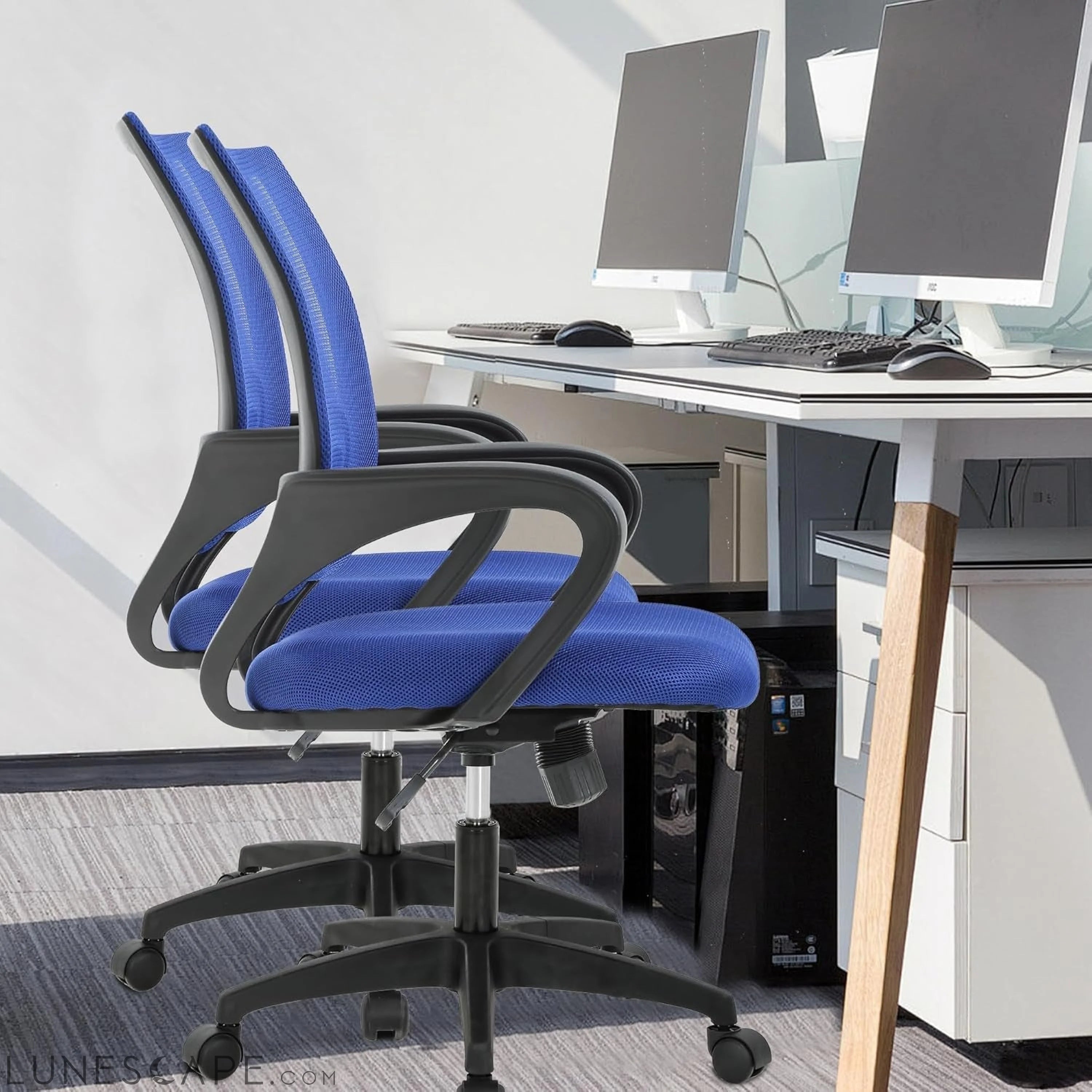 Home Office Chair Ergonomic Desk Chair Mesh Computer Chair with Lumbar LUNESCAPE