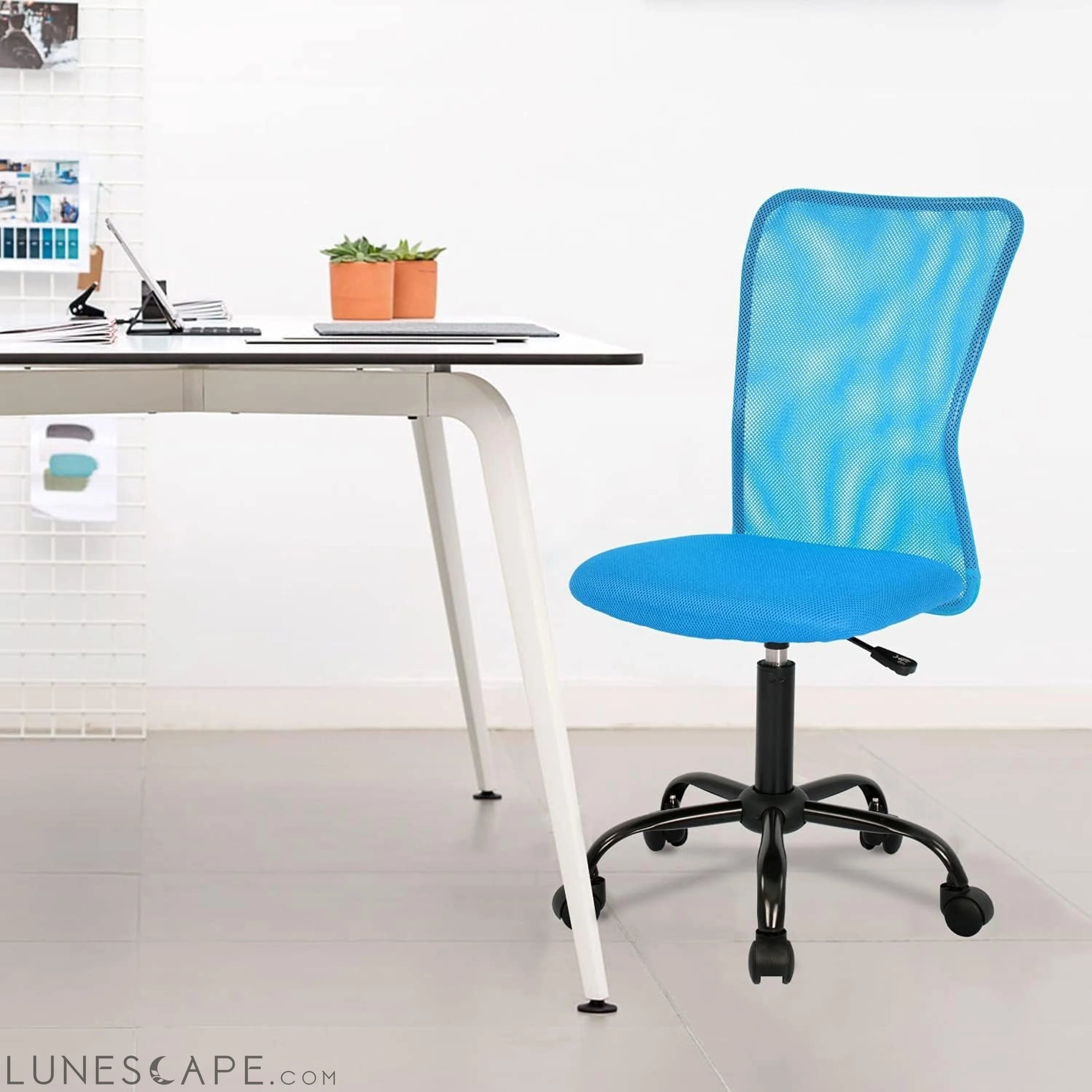 Home Office Chair Mid Back Mesh Desk Chair Armless Computer Chair LUNESCAPE