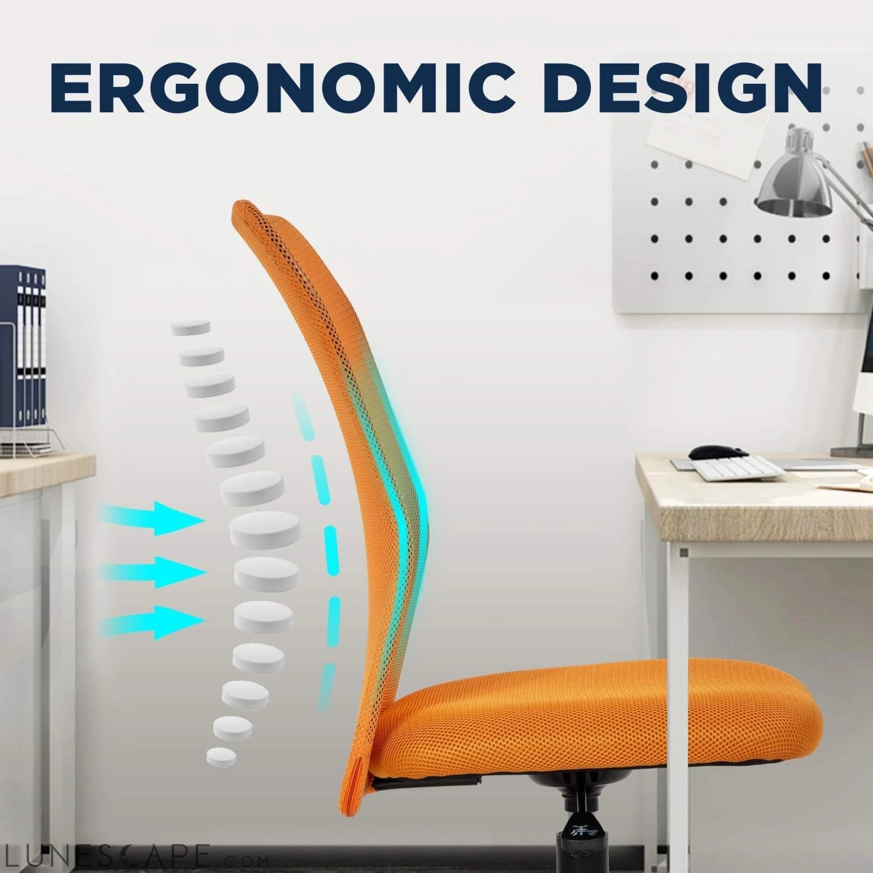 Home Office Chair Mid Back Mesh Desk Chair Armless Computer Chair LUNESCAPE