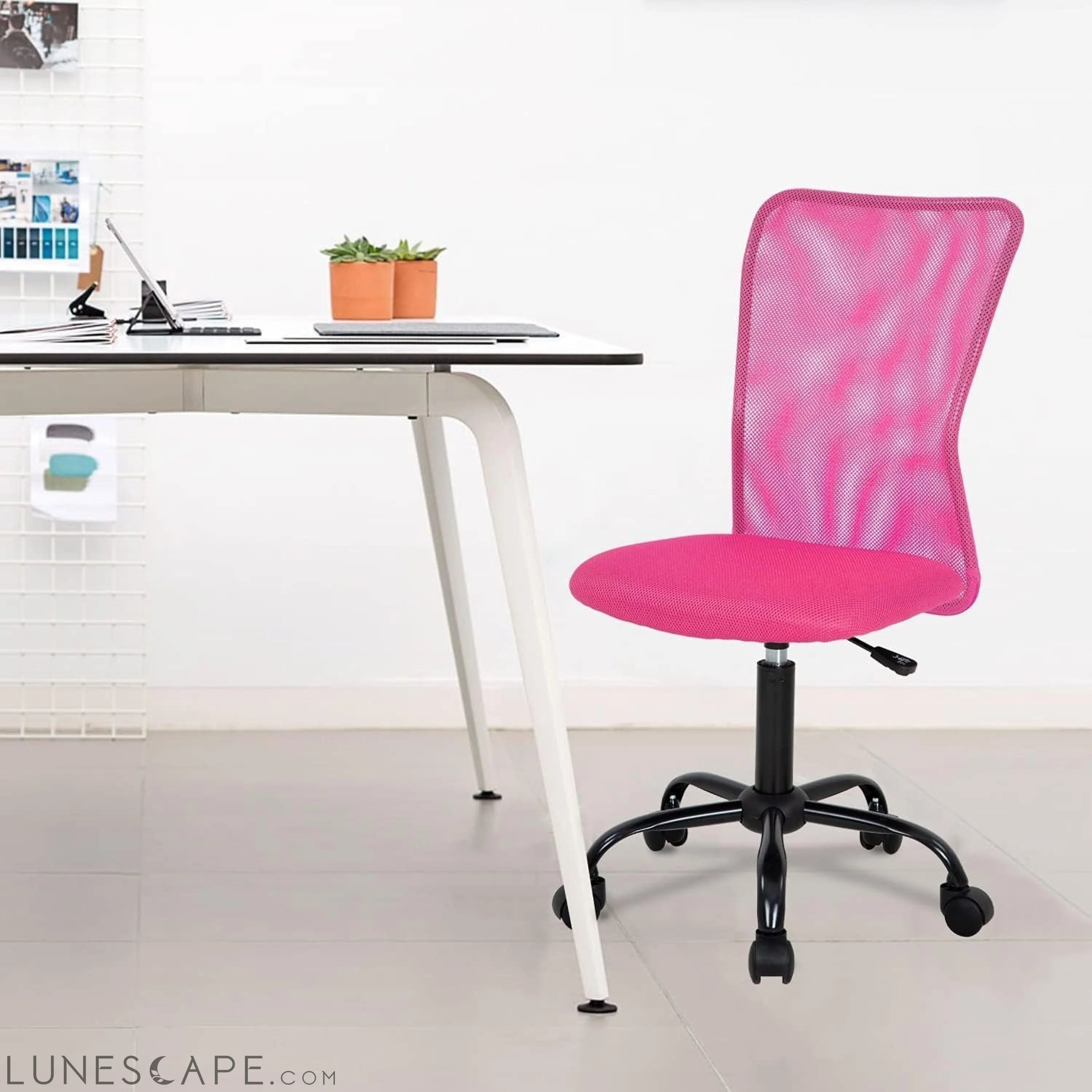 Home Office Chair Mid Back Mesh Desk Chair Armless Computer Chair LUNESCAPE